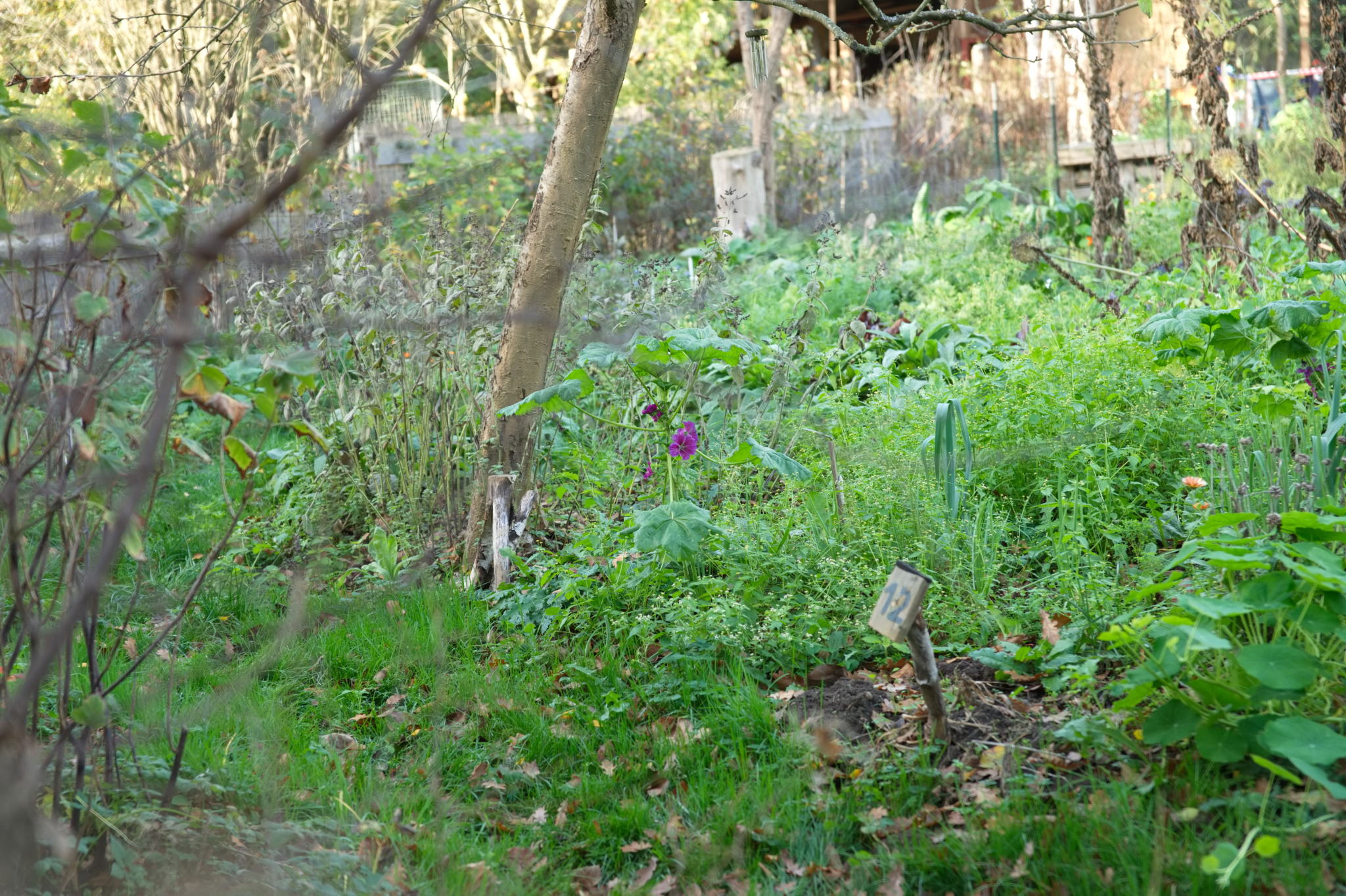 20221112 PK BjN StartWorkshop 46