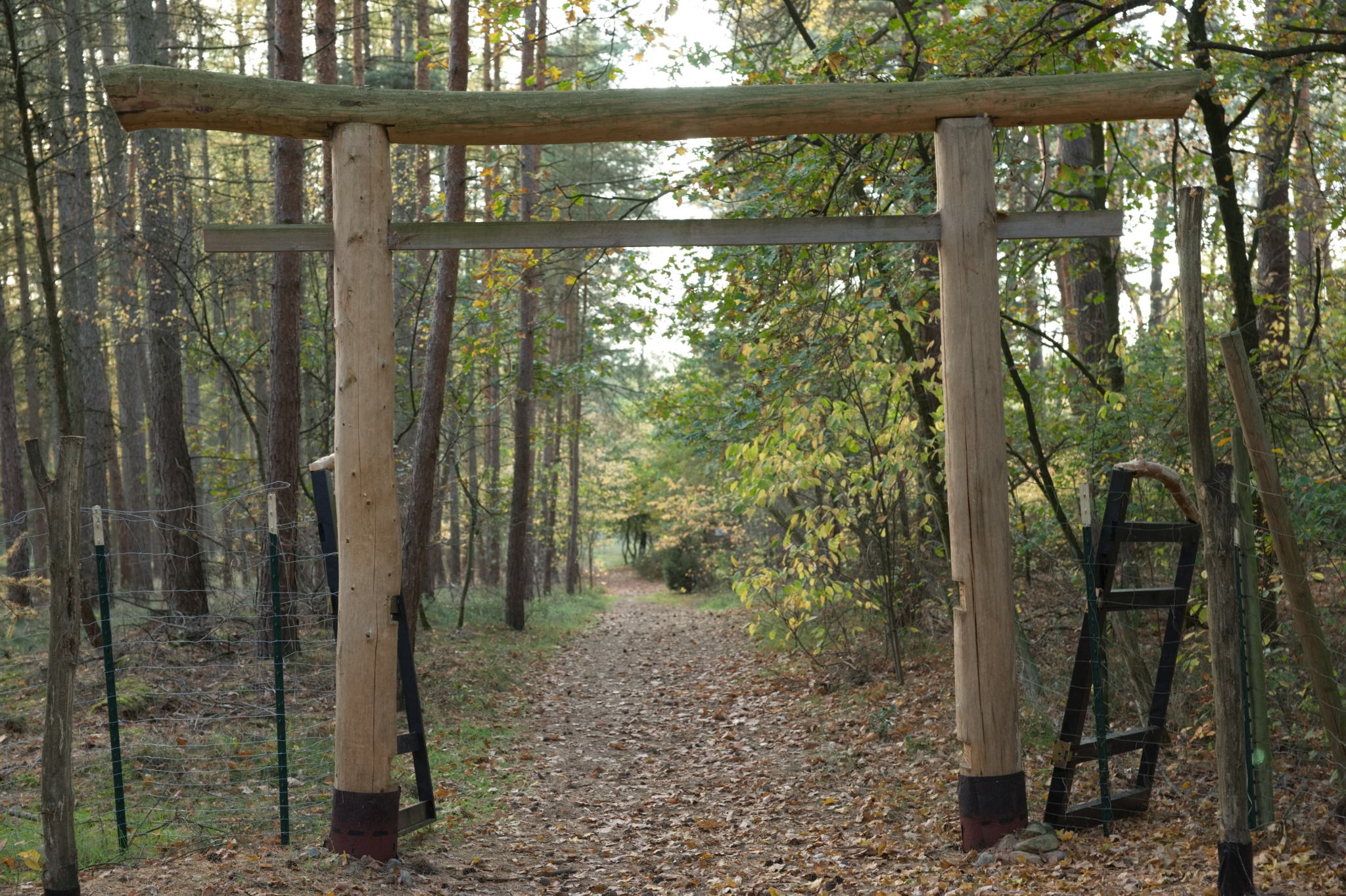 20221112 PK BjN StartWorkshop 49