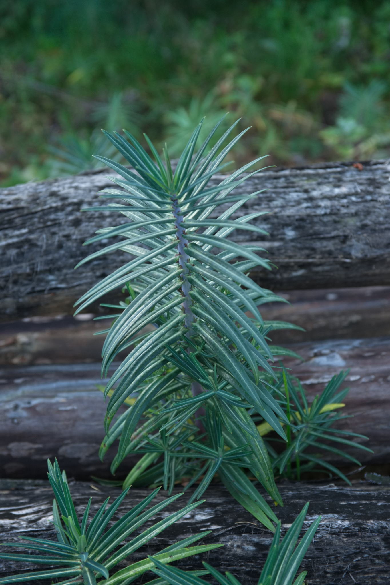 20221112 PK BjN StartWorkshop 52