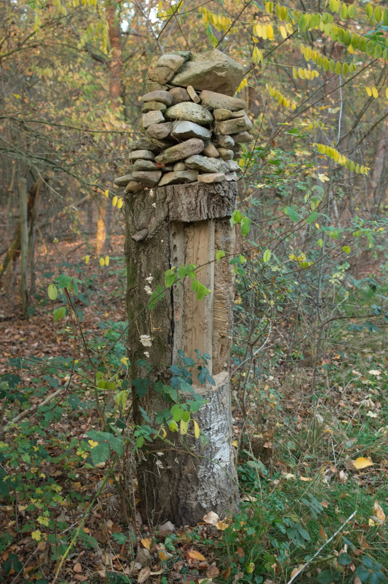 20221112 PK BjN StartWorkshop 60