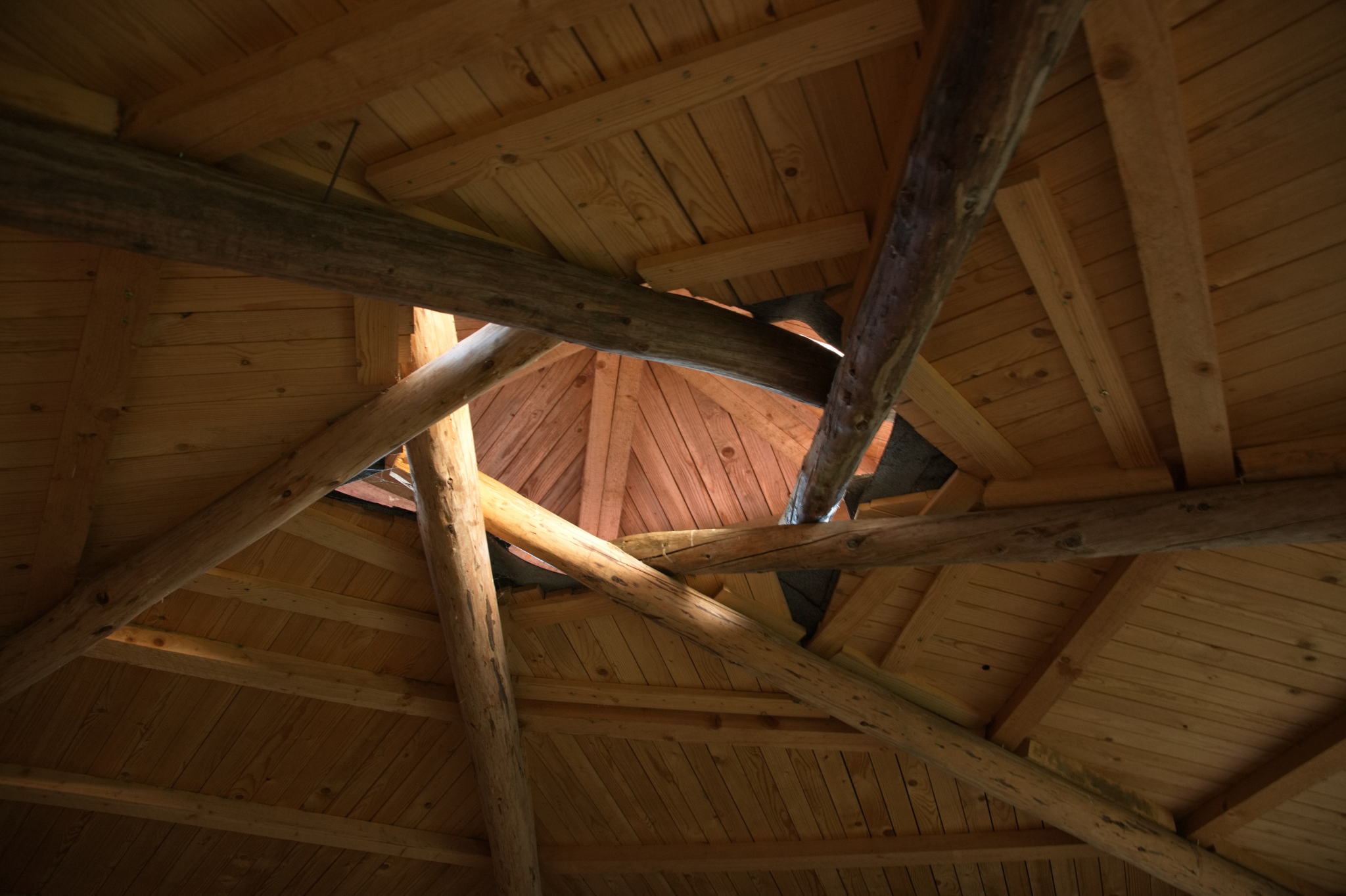 20221112 PK BjN StartWorkshop 69