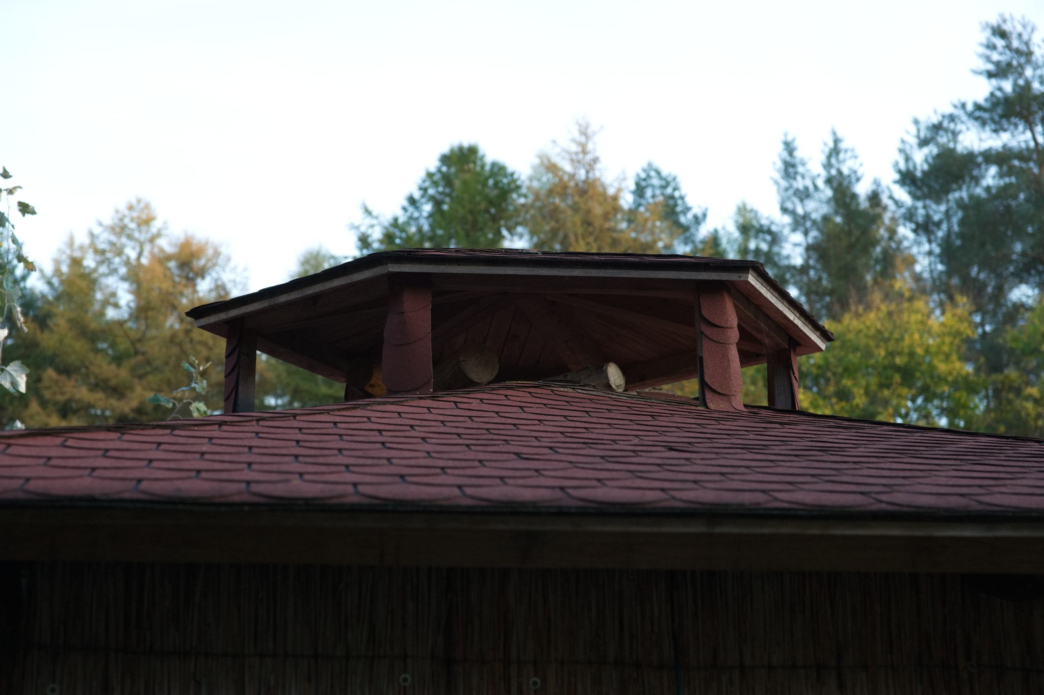 20221112 PK BjN StartWorkshop 71