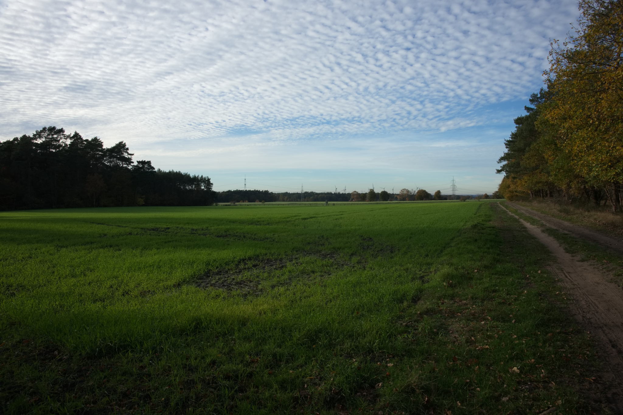 20221112 PK BjN StartWorkshop 80