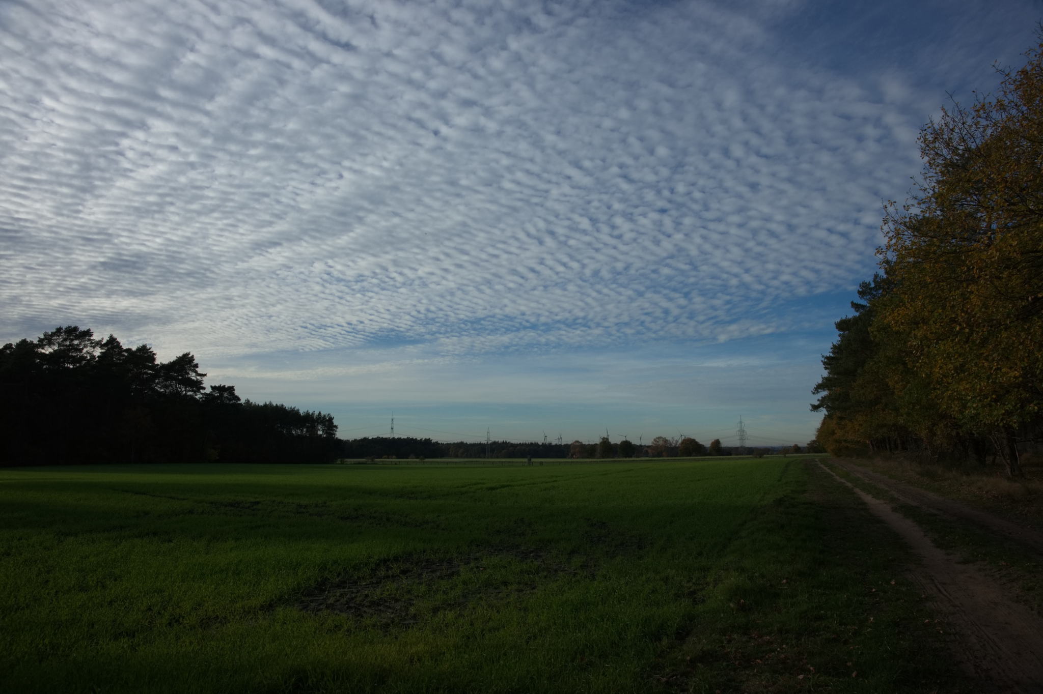 20221112 PK BjN StartWorkshop 81