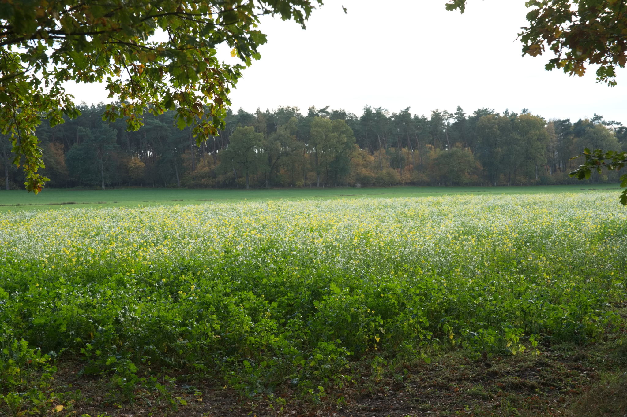 20221112 PK BjN StartWorkshop 83