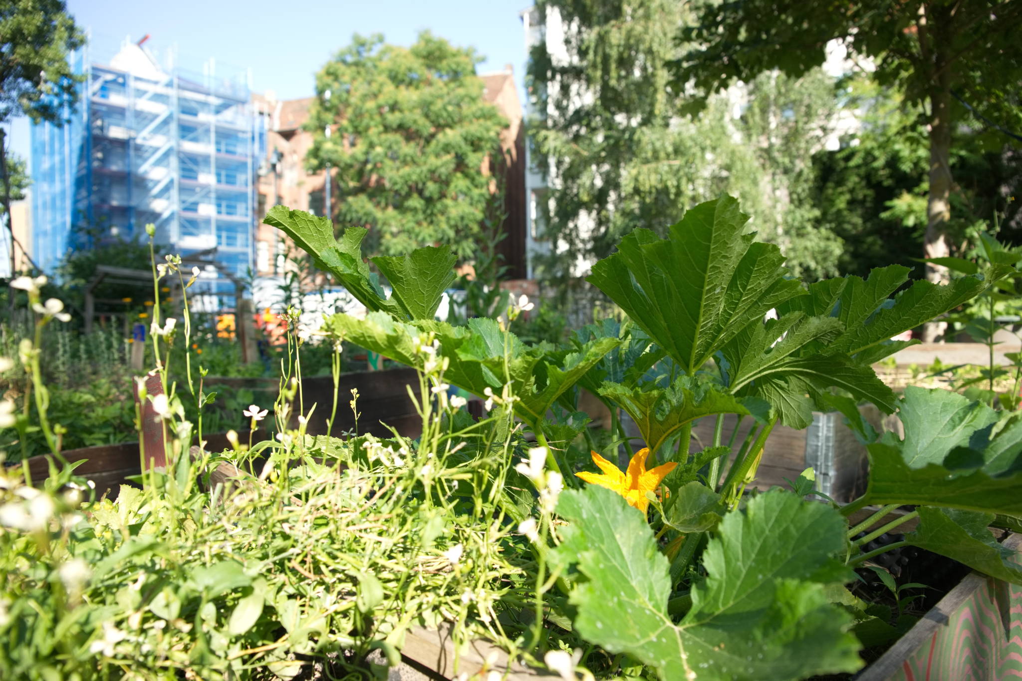 20230708 Urbane PK 003