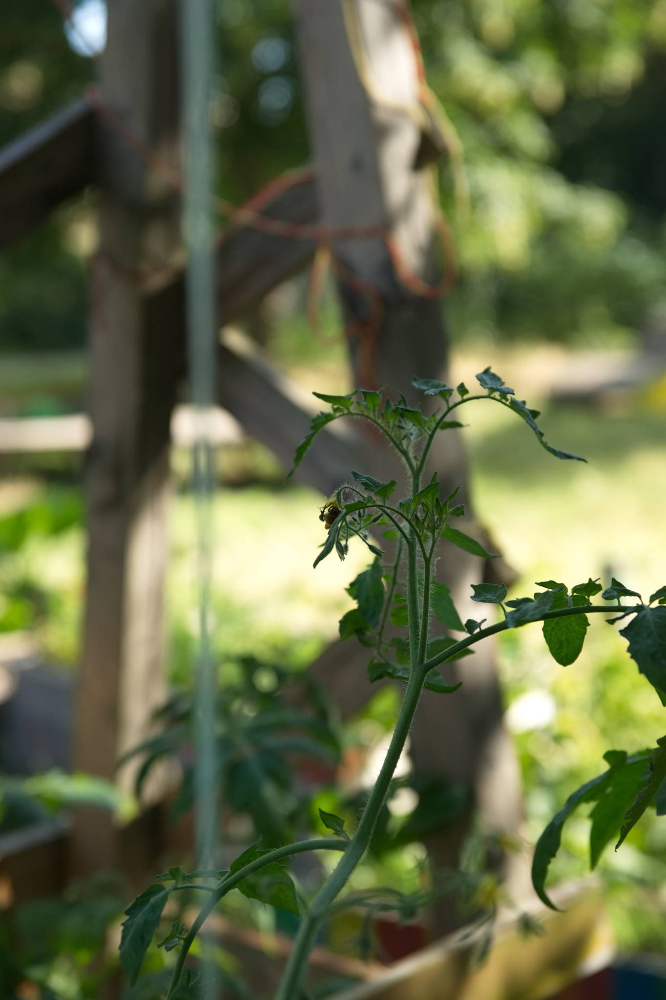 20230708 Urbane PK 010