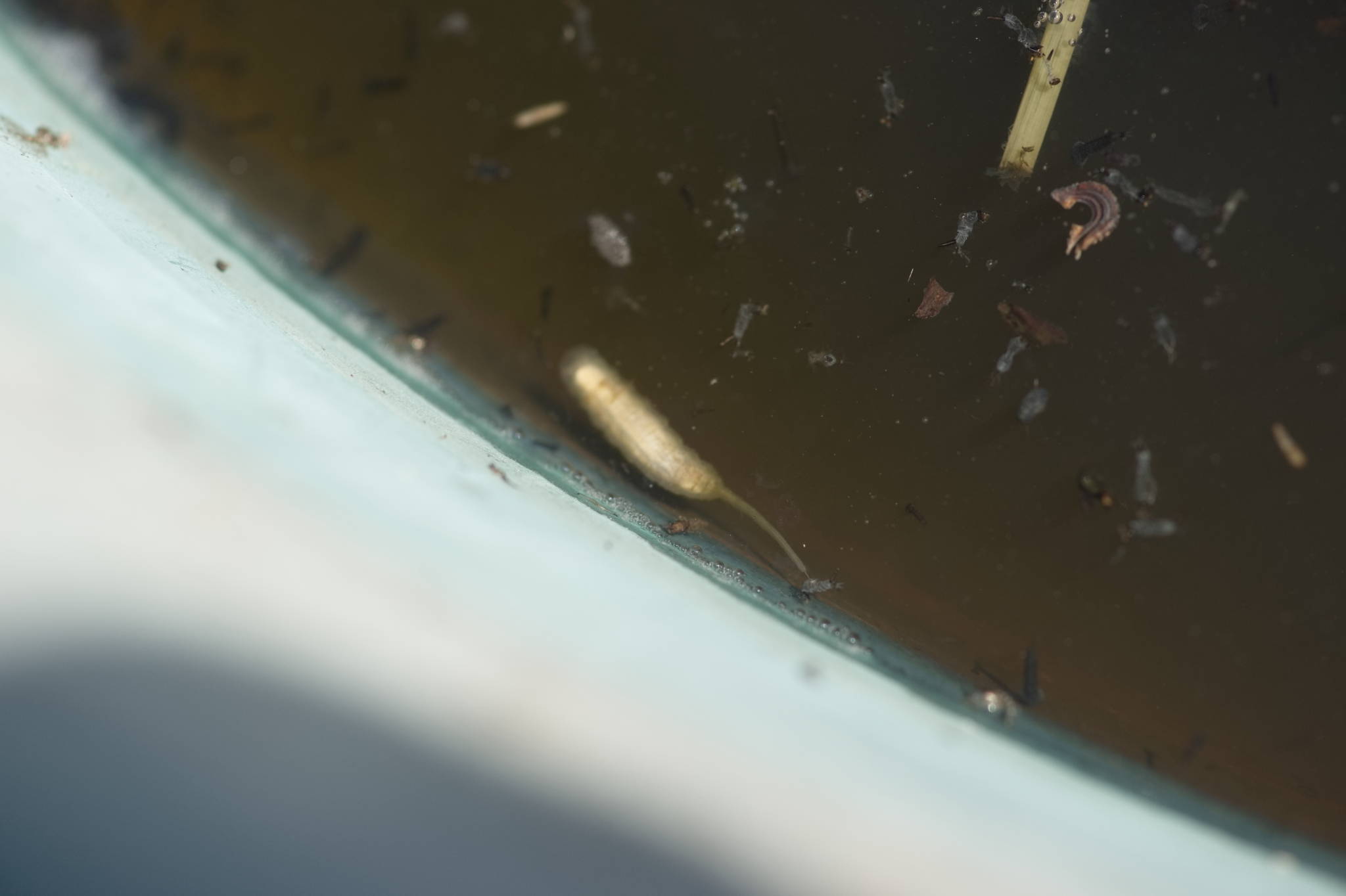 20230707 Urbane PK 003