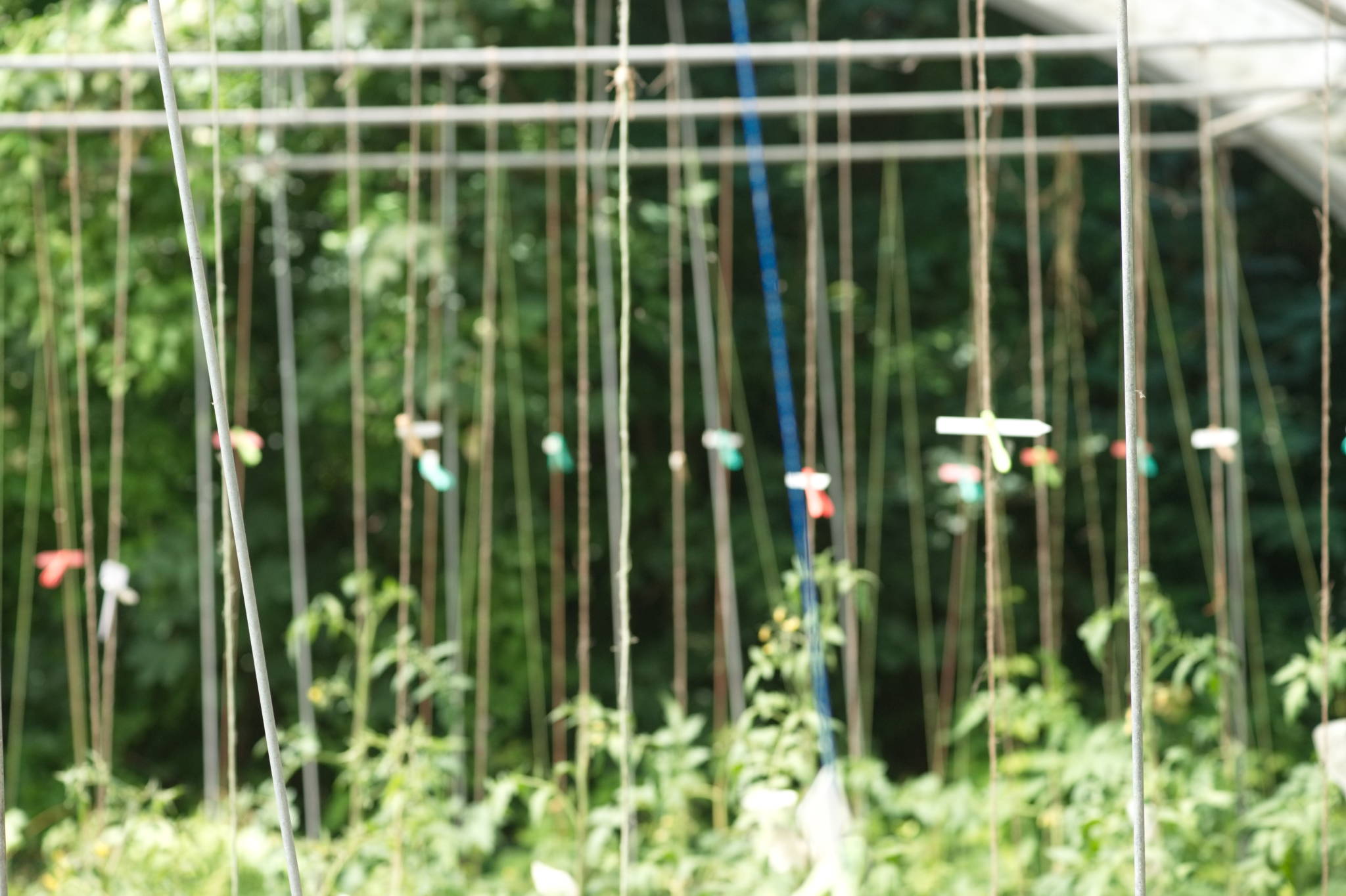 20230707 Urbane PK 053