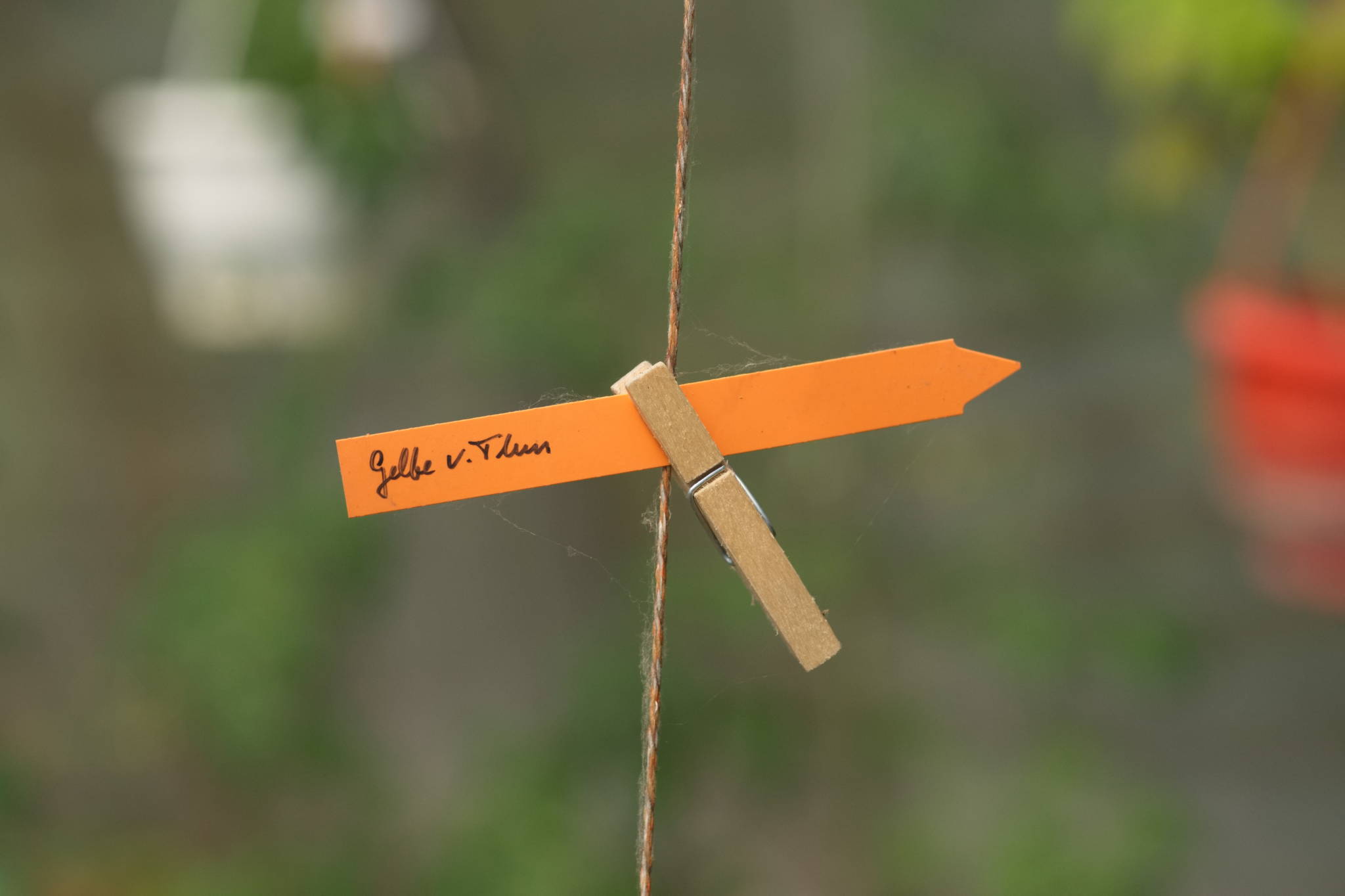 20230707 Urbane PK 054