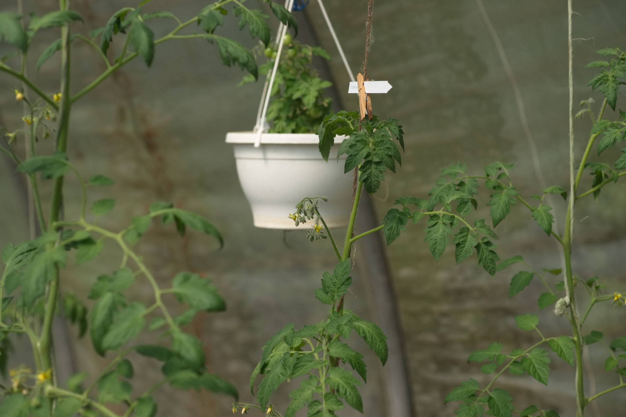 20230707 Urbane PK 056