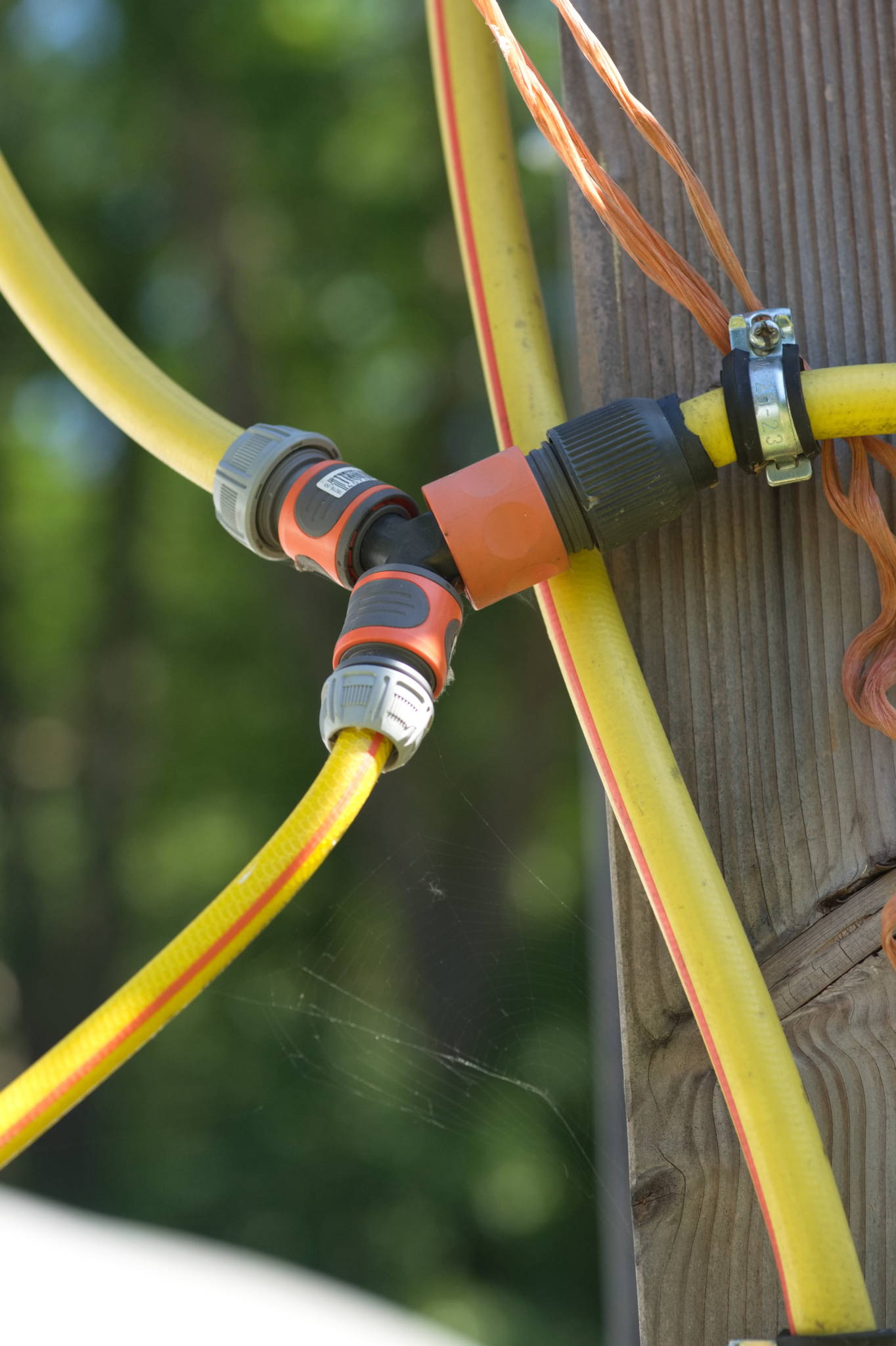 20230707 Urbane PK 057