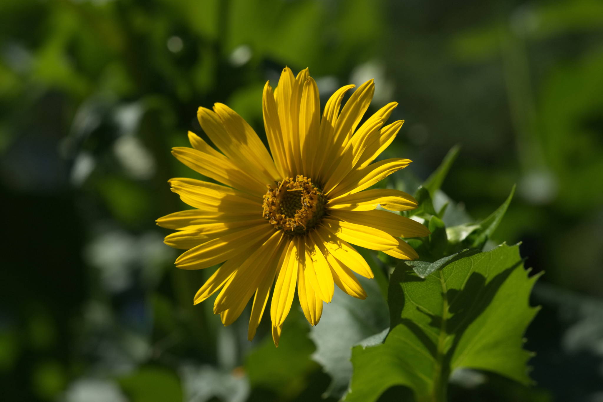 20230707 Urbane PK 059