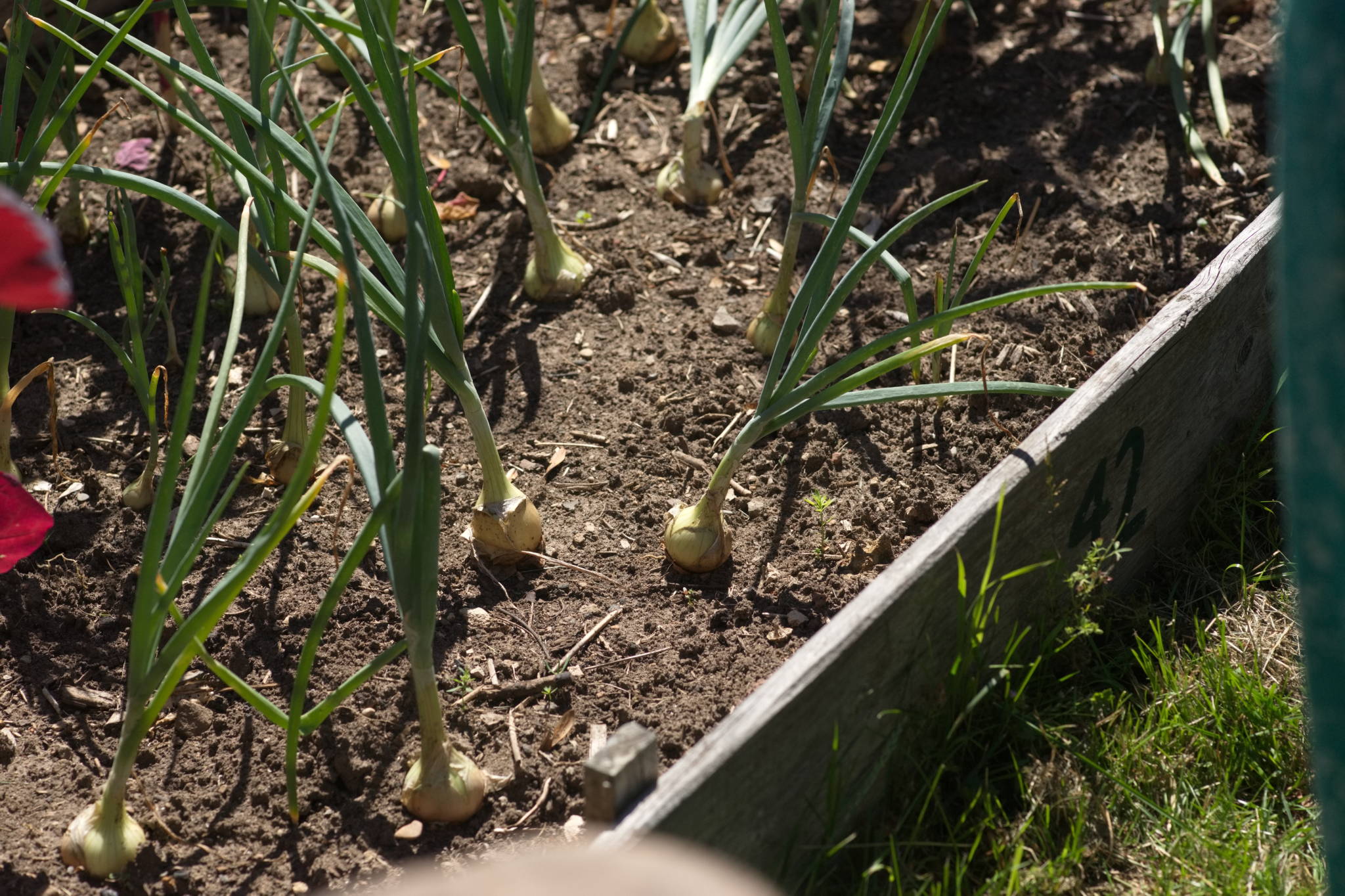 20230707 Urbane PK 060