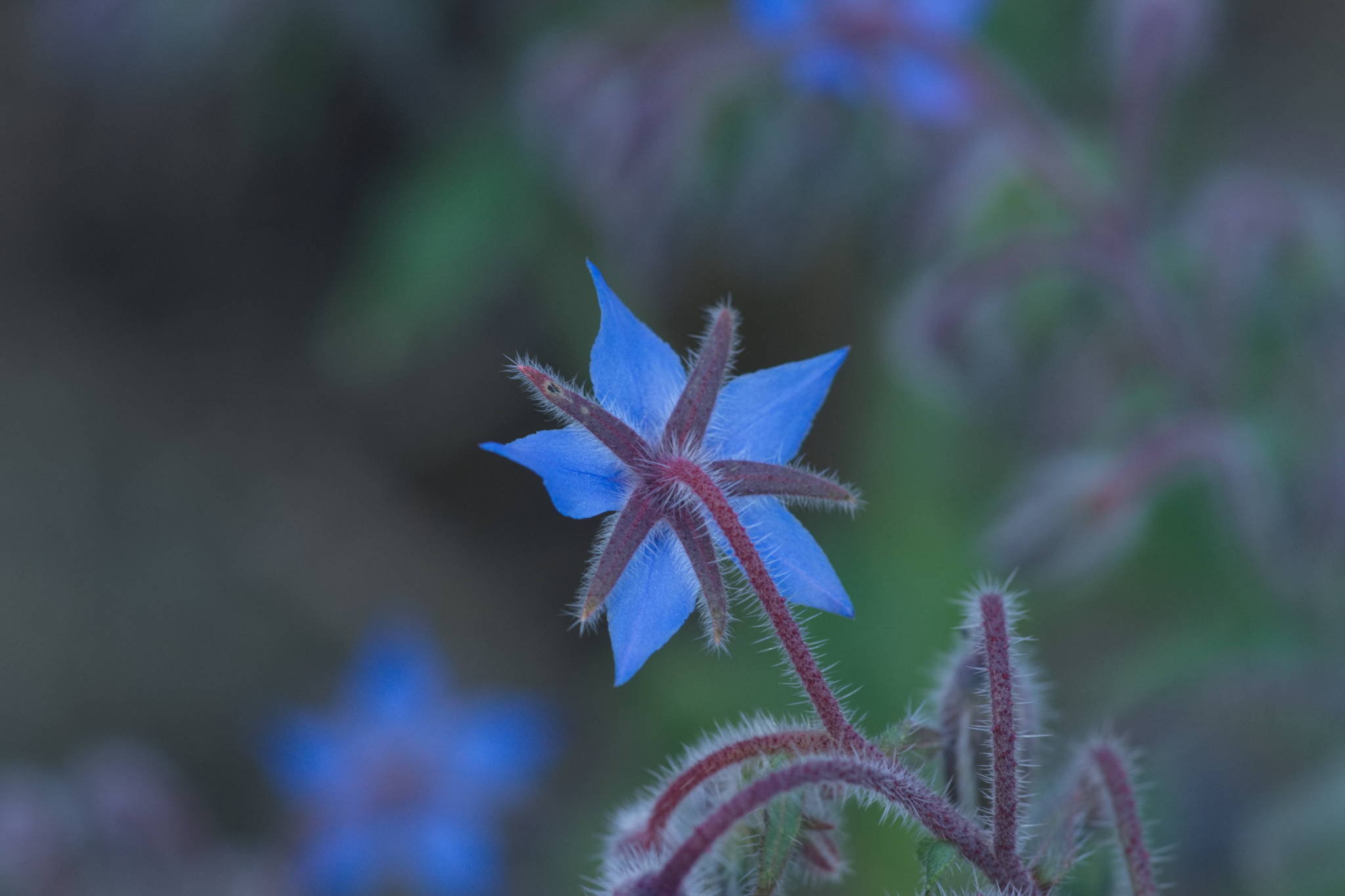 20230707 Urbane PK 063