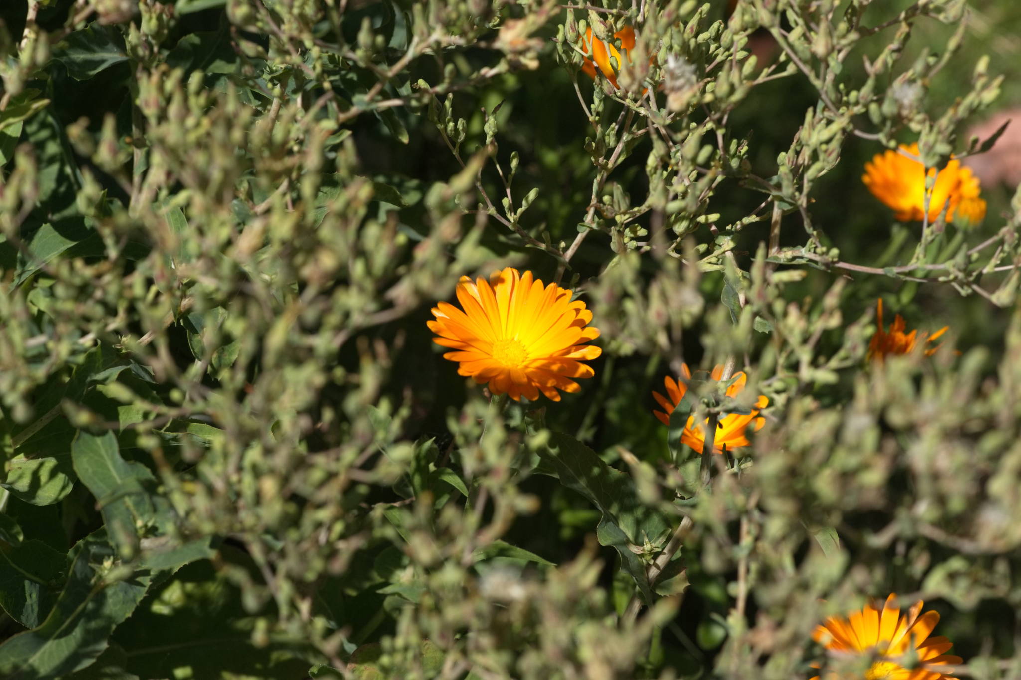 20230707 Urbane PK 076