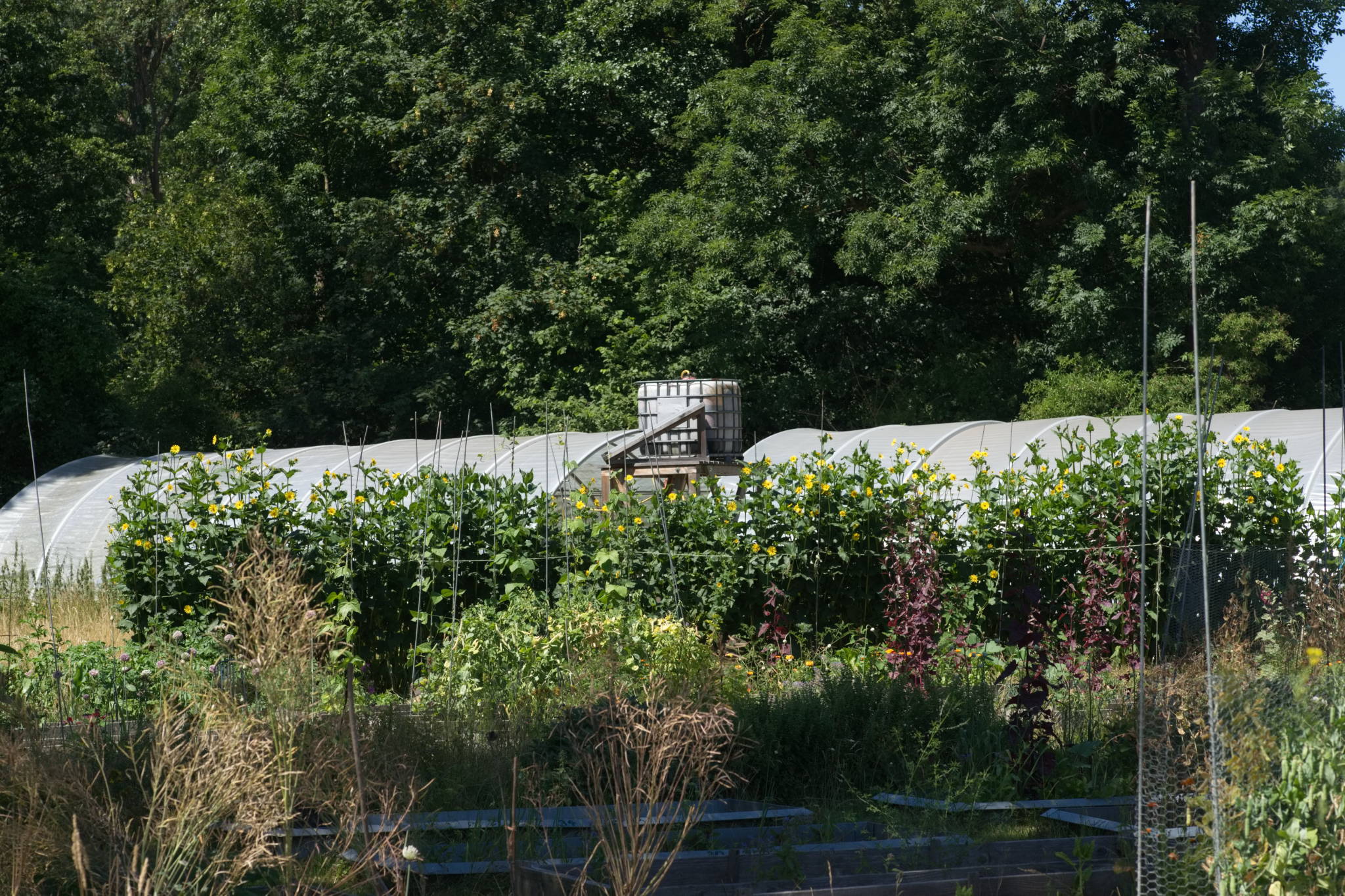 20230707 Urbane PK 087