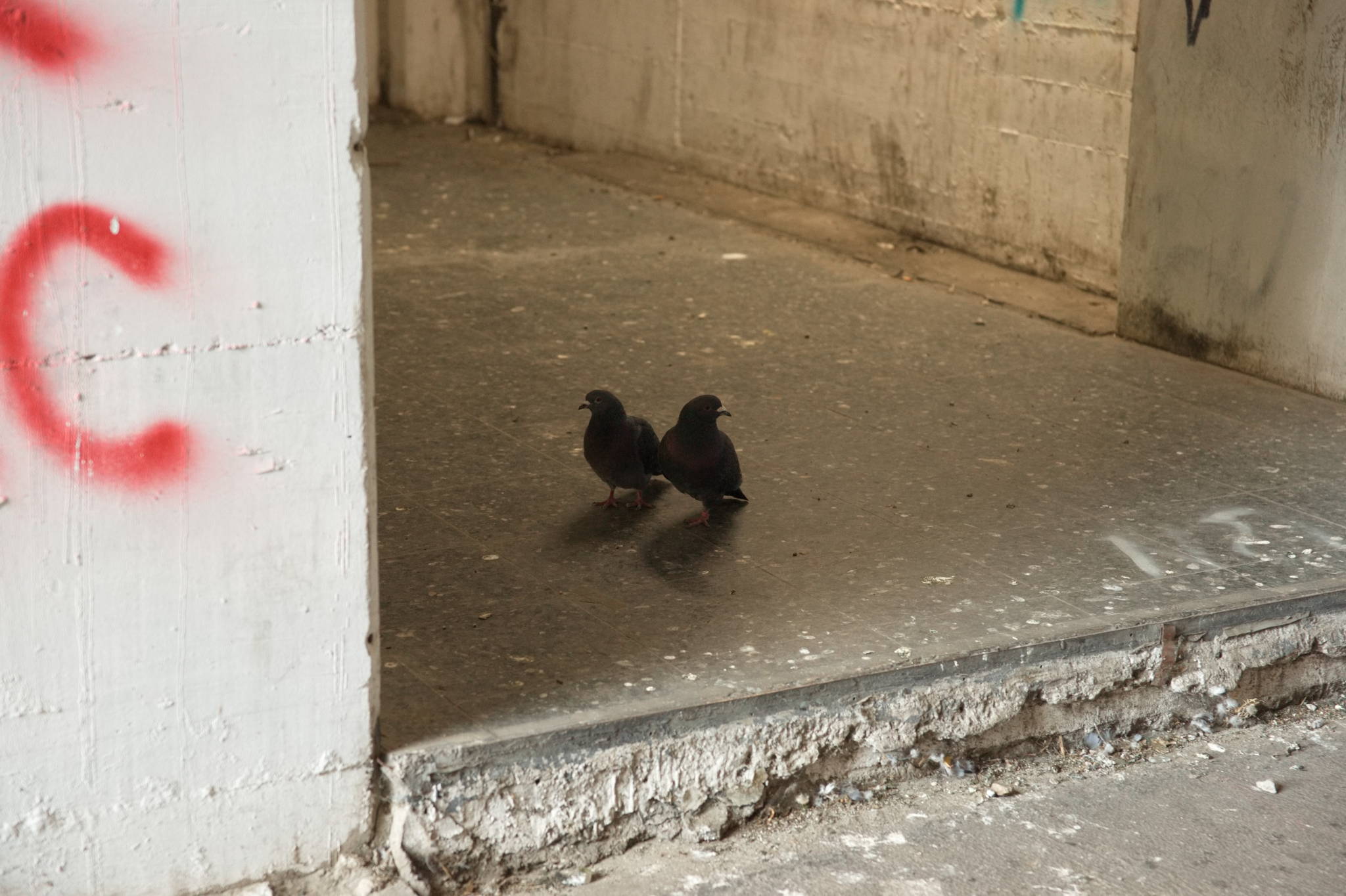 20230706 Urbane PK 022