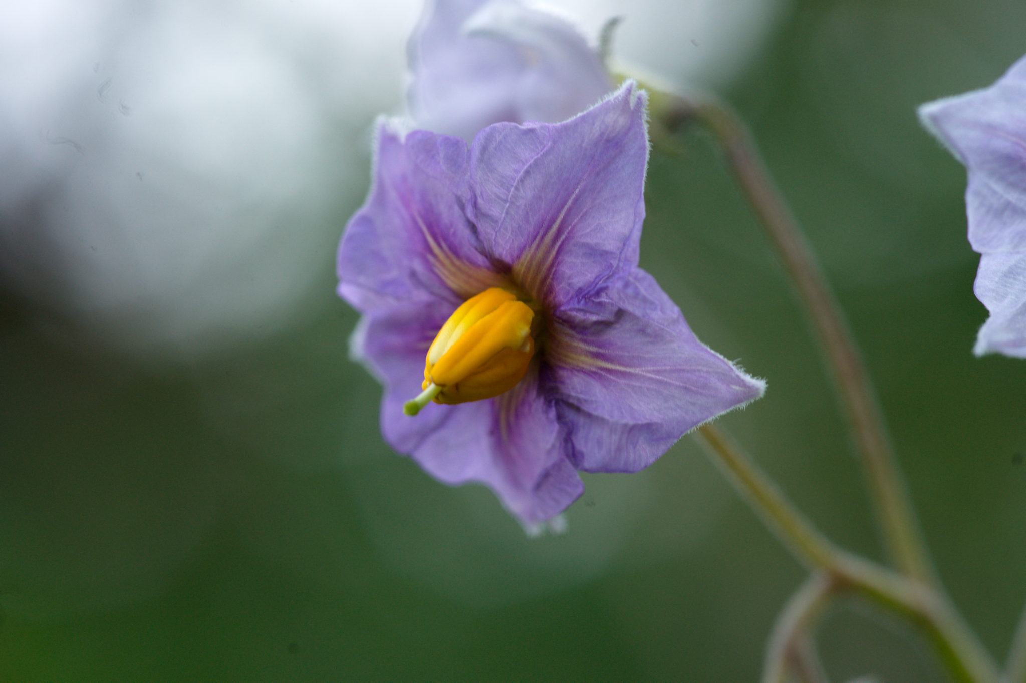 20210722 Bergheide 009