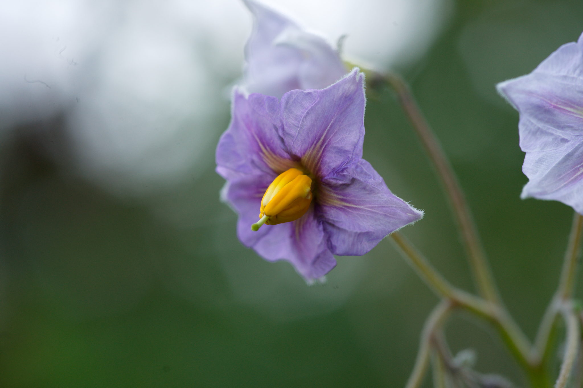 20210722 Bergheide 010