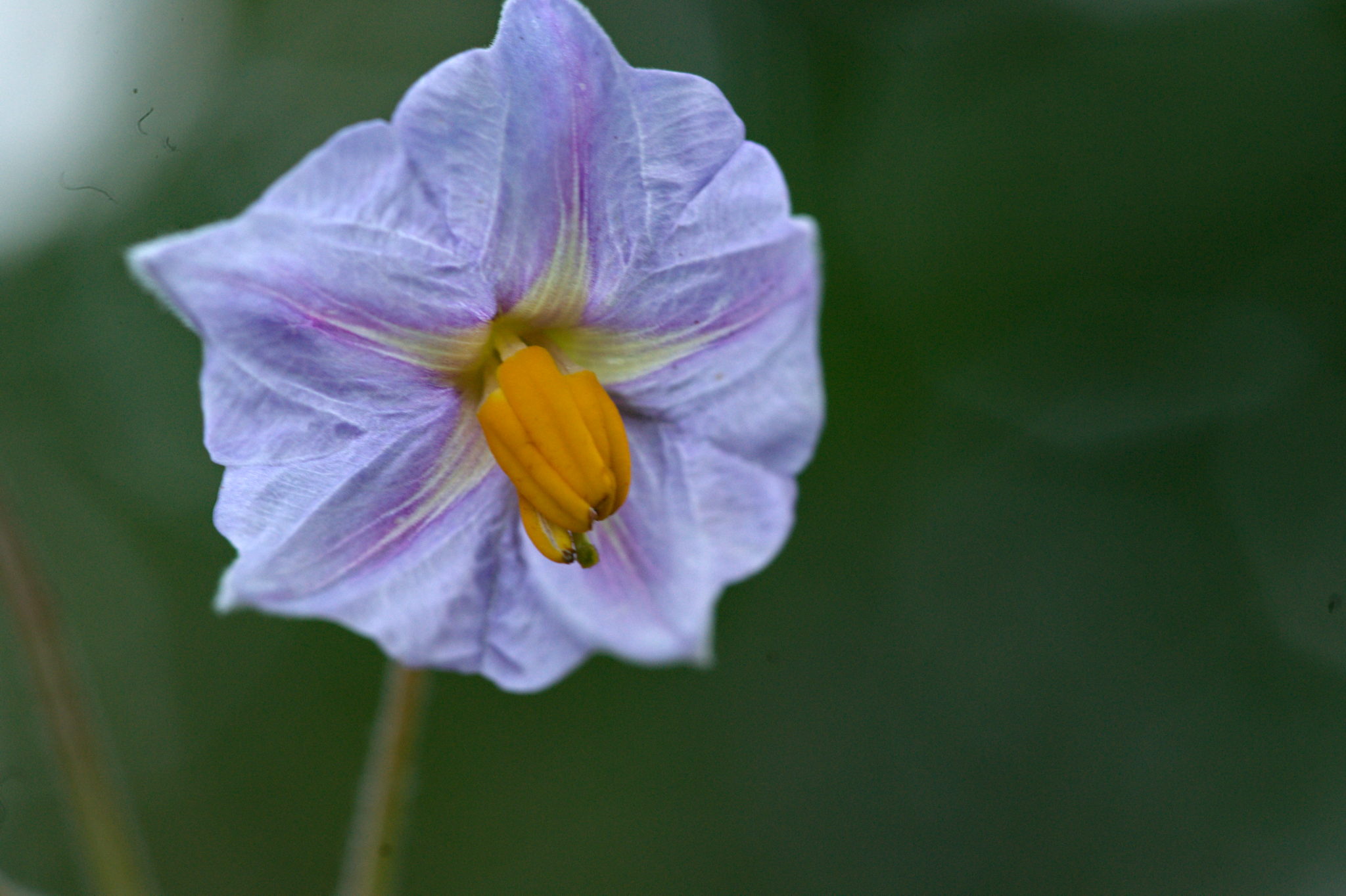 20210722 Bergheide 011