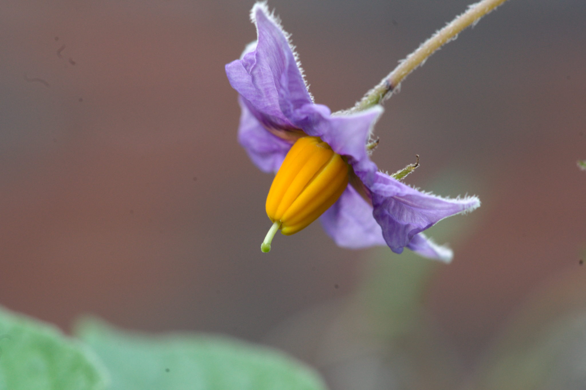 20210722 Bergheide 014