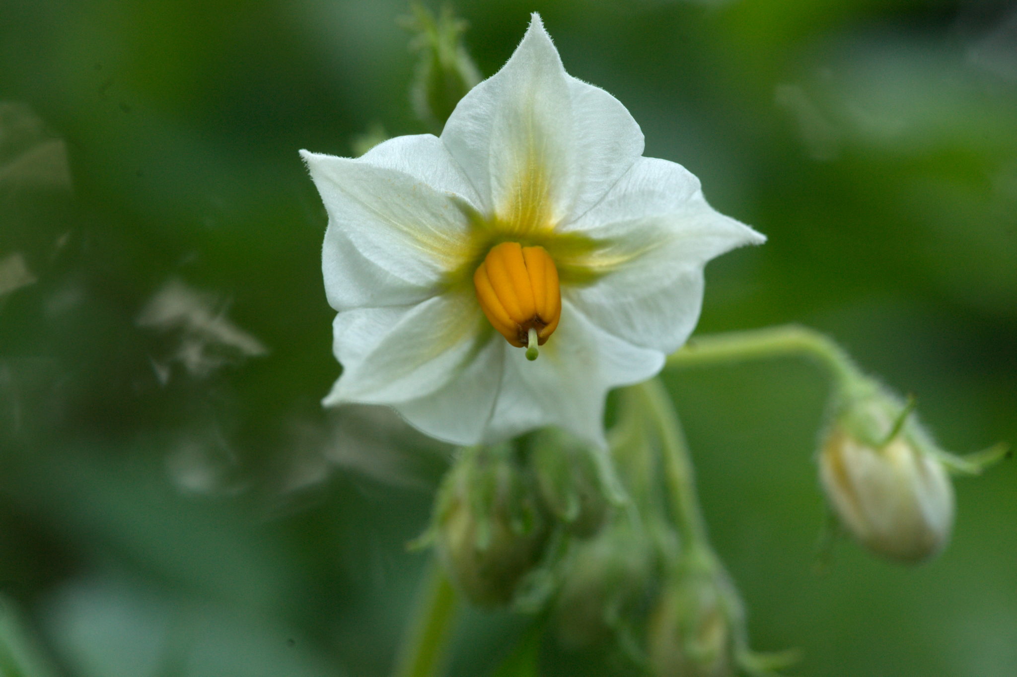 20210722 Bergheide 020