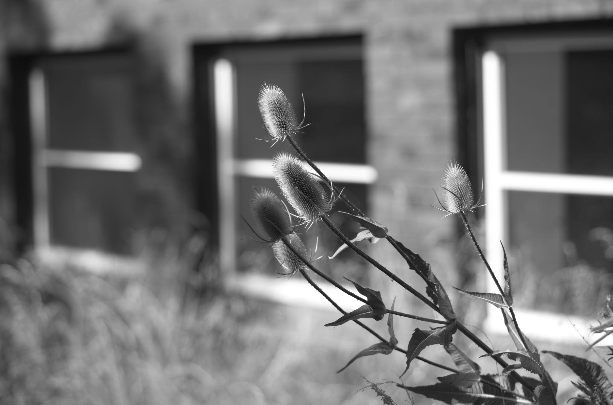 20220803 Gruen(t)raum Heimfeld 23 1