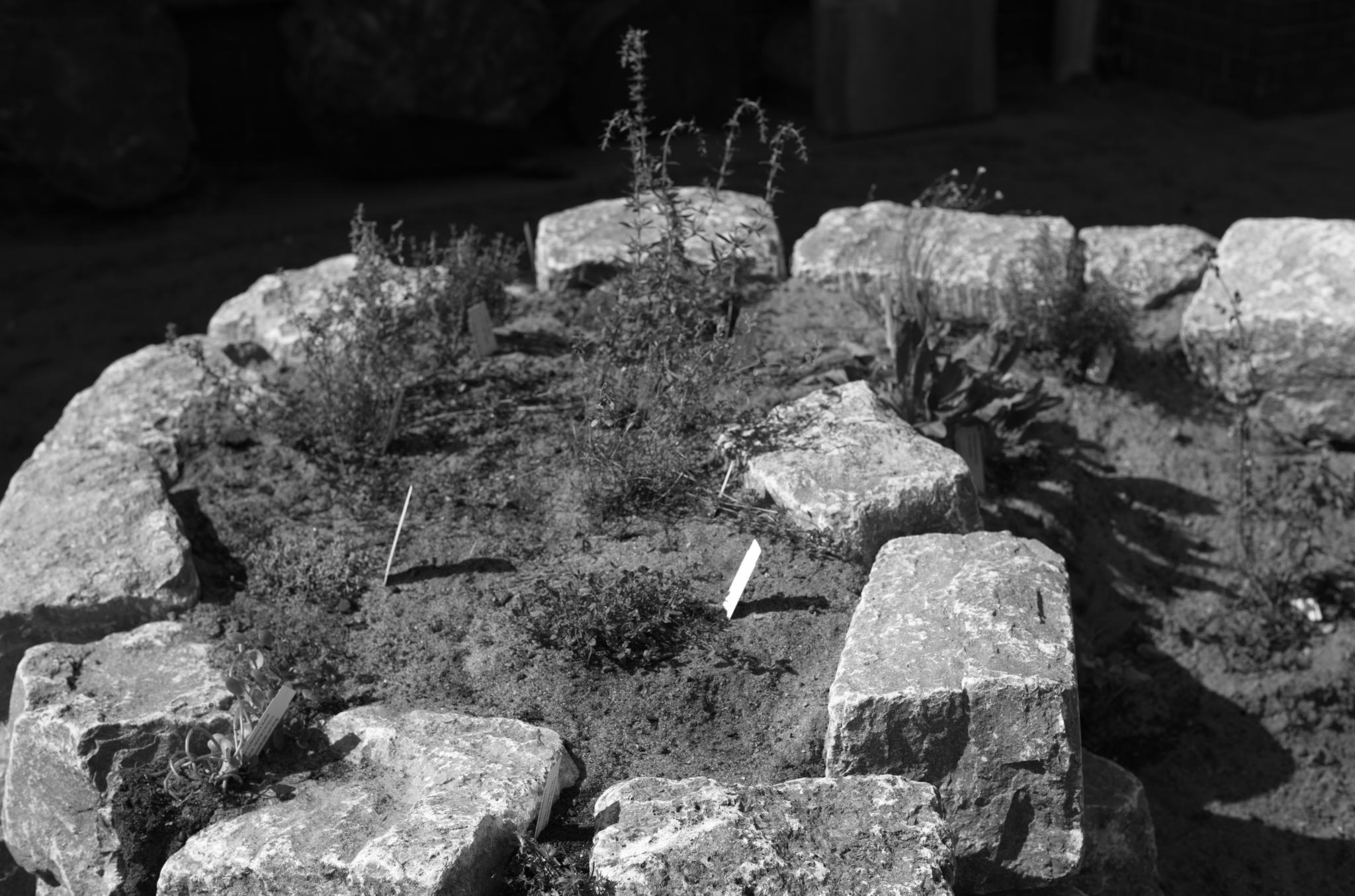 20220720 Gruen(t)raum Heimfeld 01