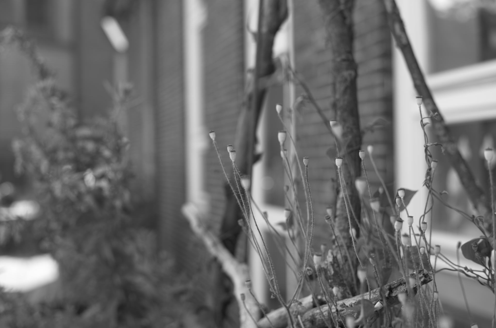 20220720 Gruen(t)raum Heimfeld 08