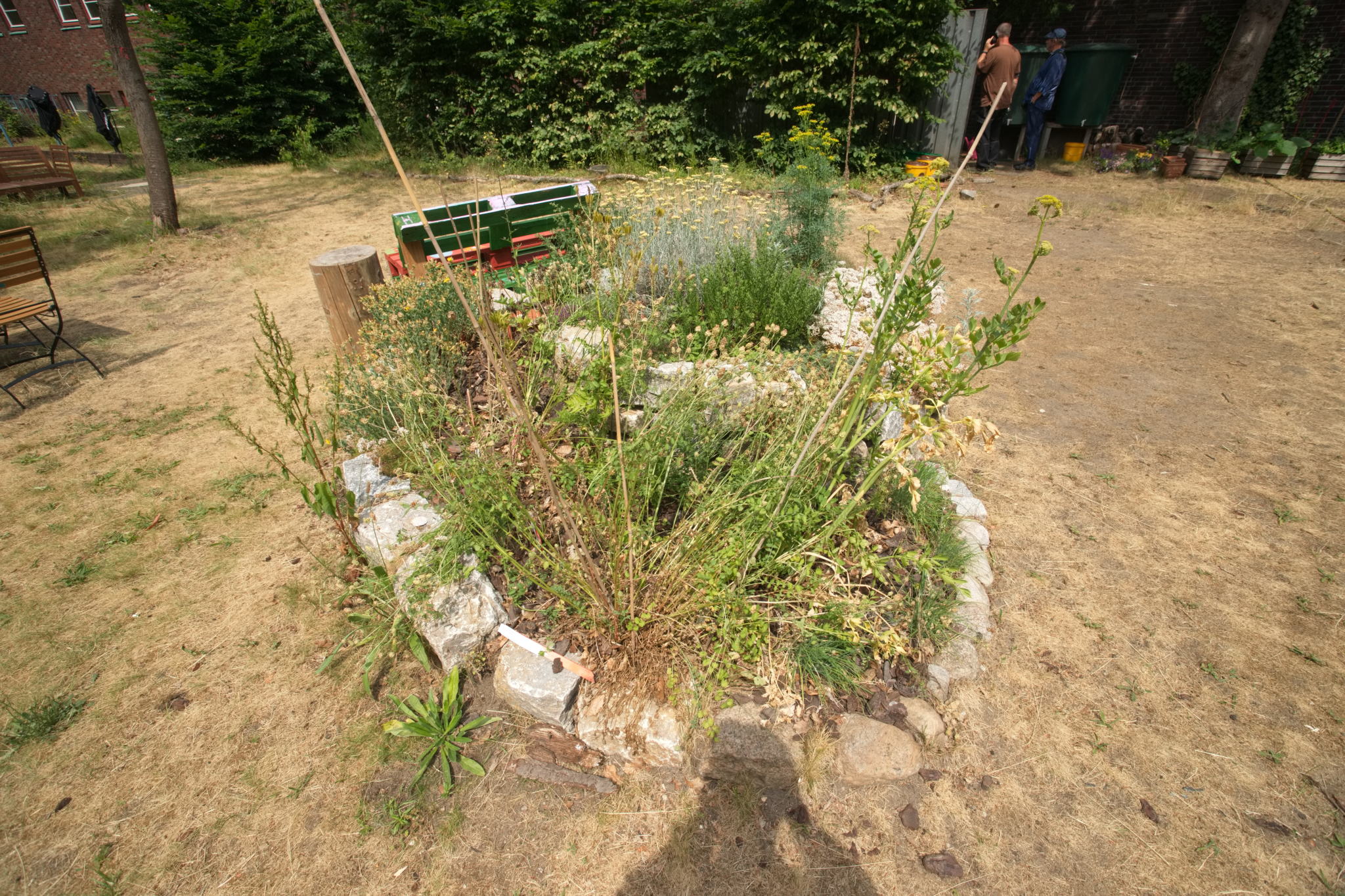 20230619 Gruen(t)raum Heimfeld 004