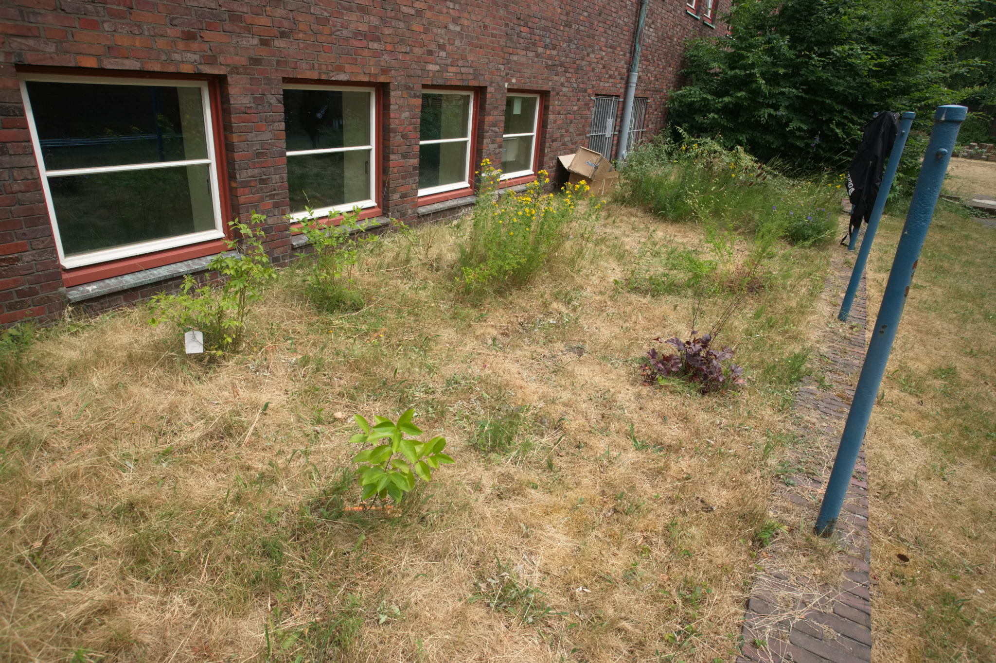 20230619 Gruen(t)raum Heimfeld 009