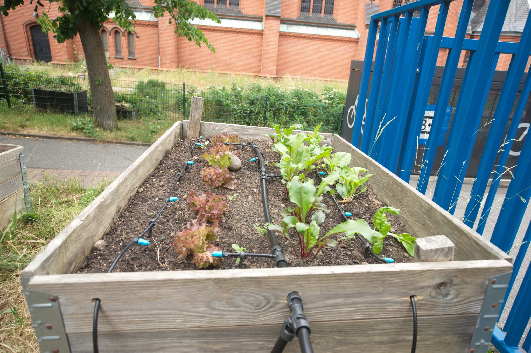 20230619 Gruen(t)raum Heimfeld 014