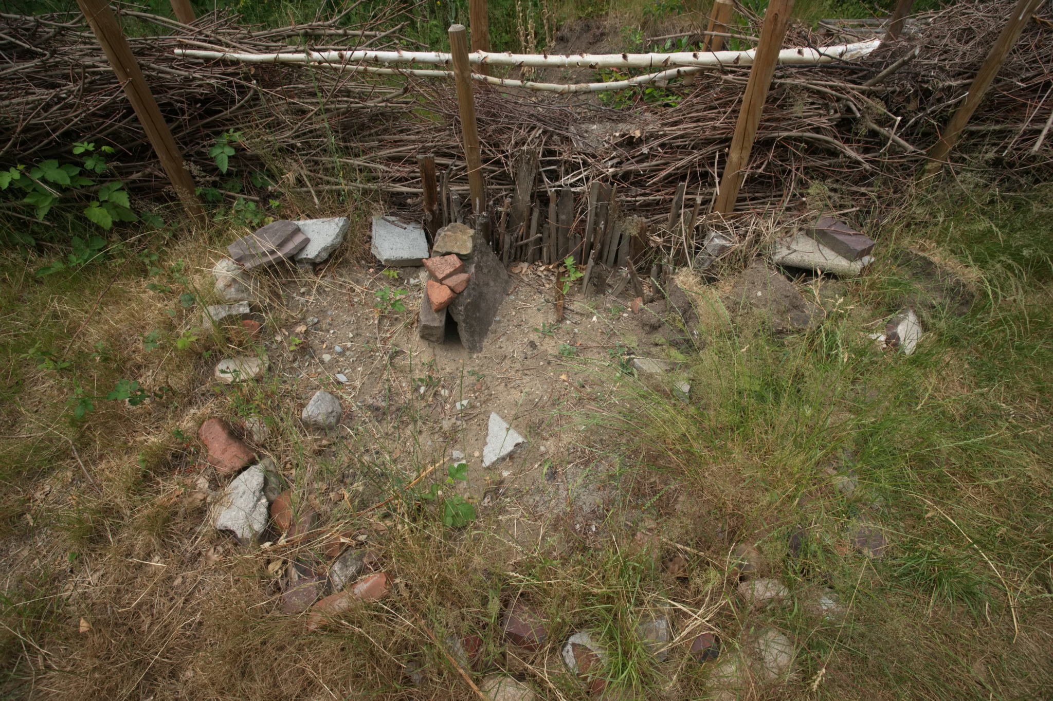 20230619 Gruen(t)raum Heimfeld 019