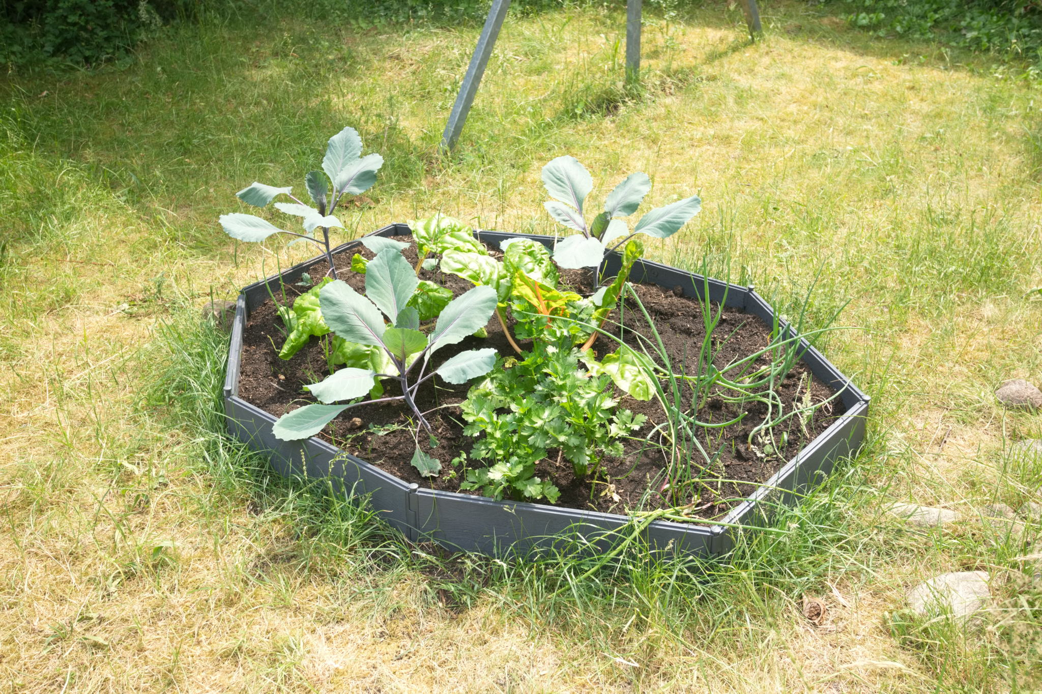 20230619 Gruen(t)raum Heimfeld 021