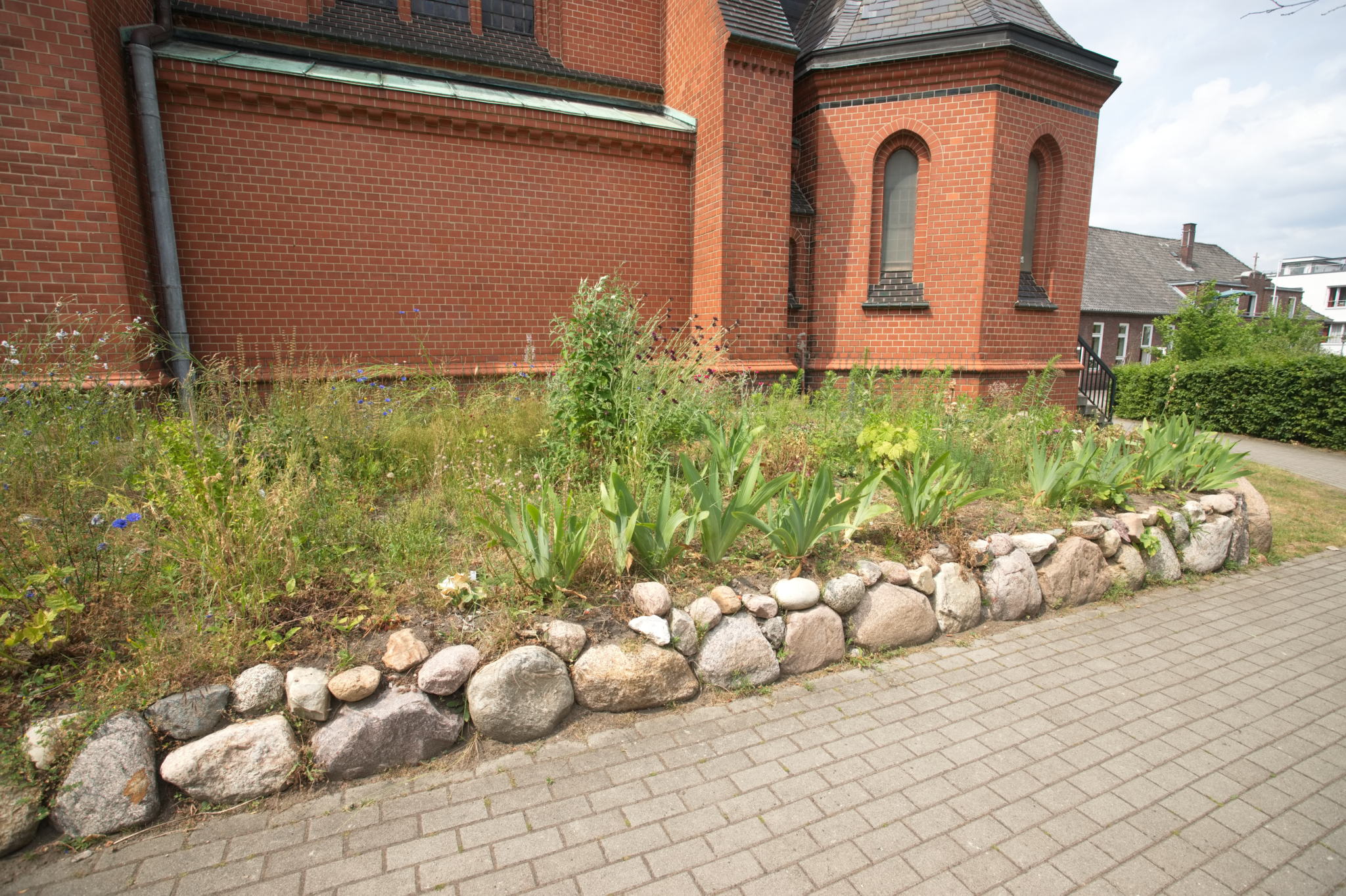 20230619 Gruen(t)raum Heimfeld 027