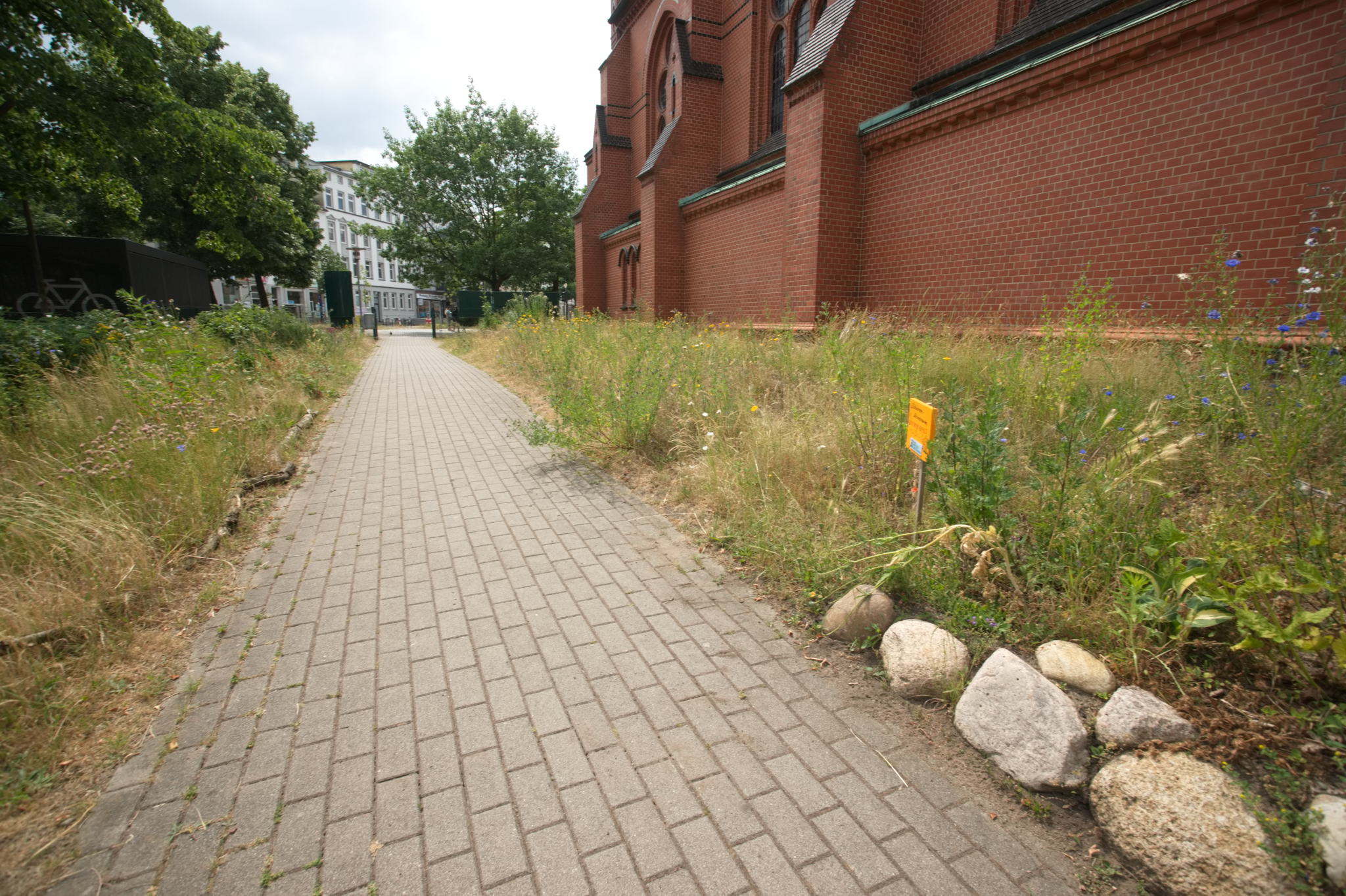 20230619 Gruen(t)raum Heimfeld 029