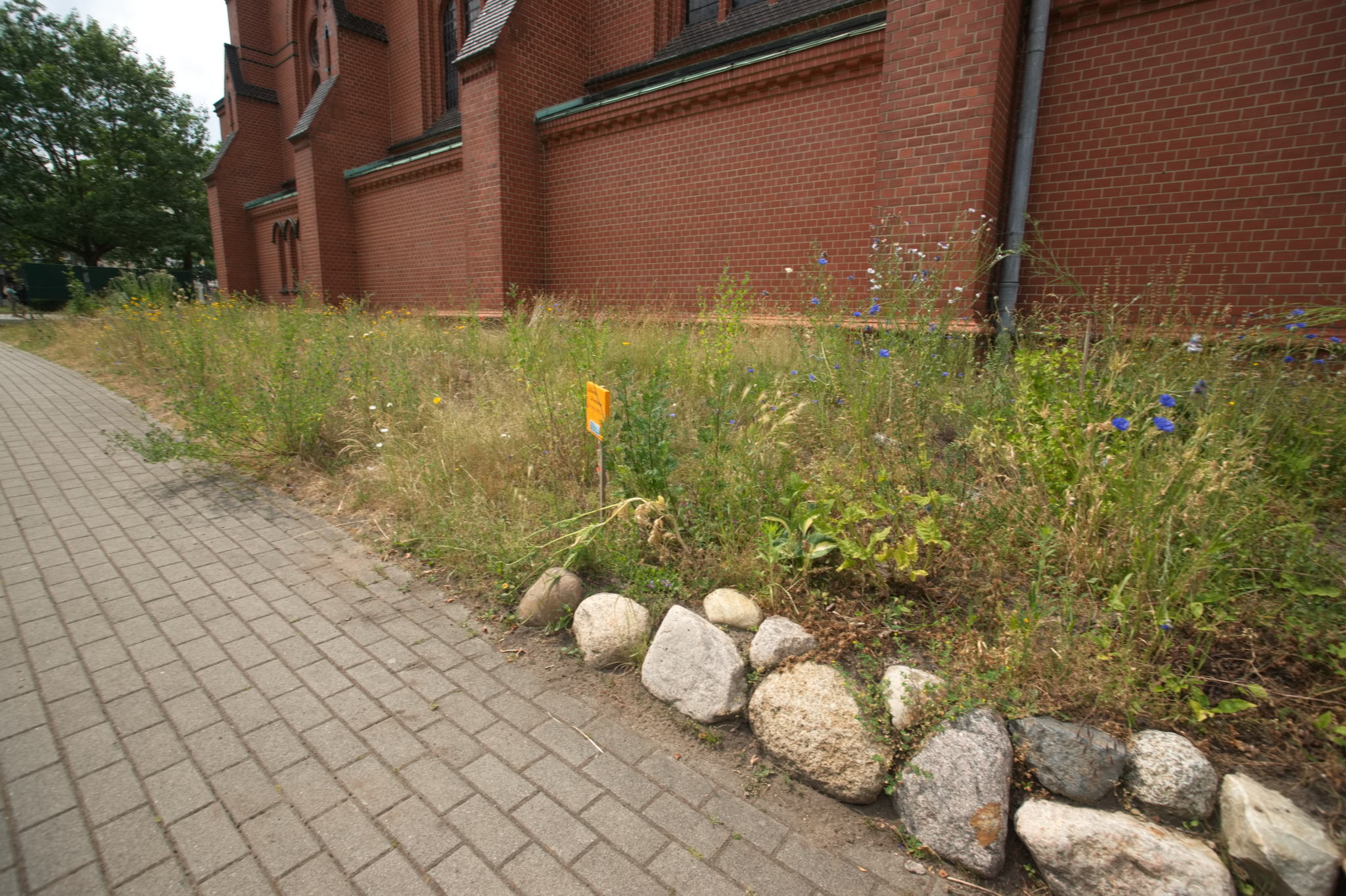 20230619 Gruen(t)raum Heimfeld 030