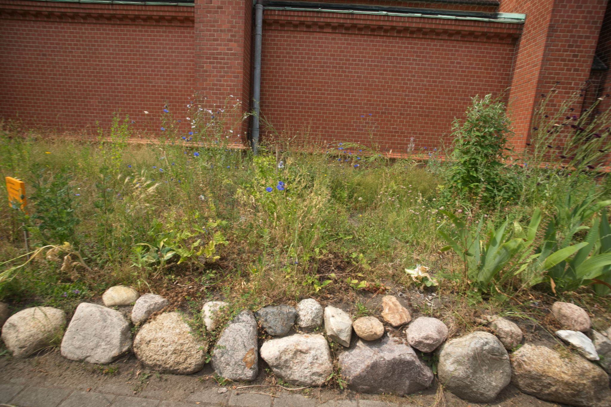 20230619 Gruen(t)raum Heimfeld 031