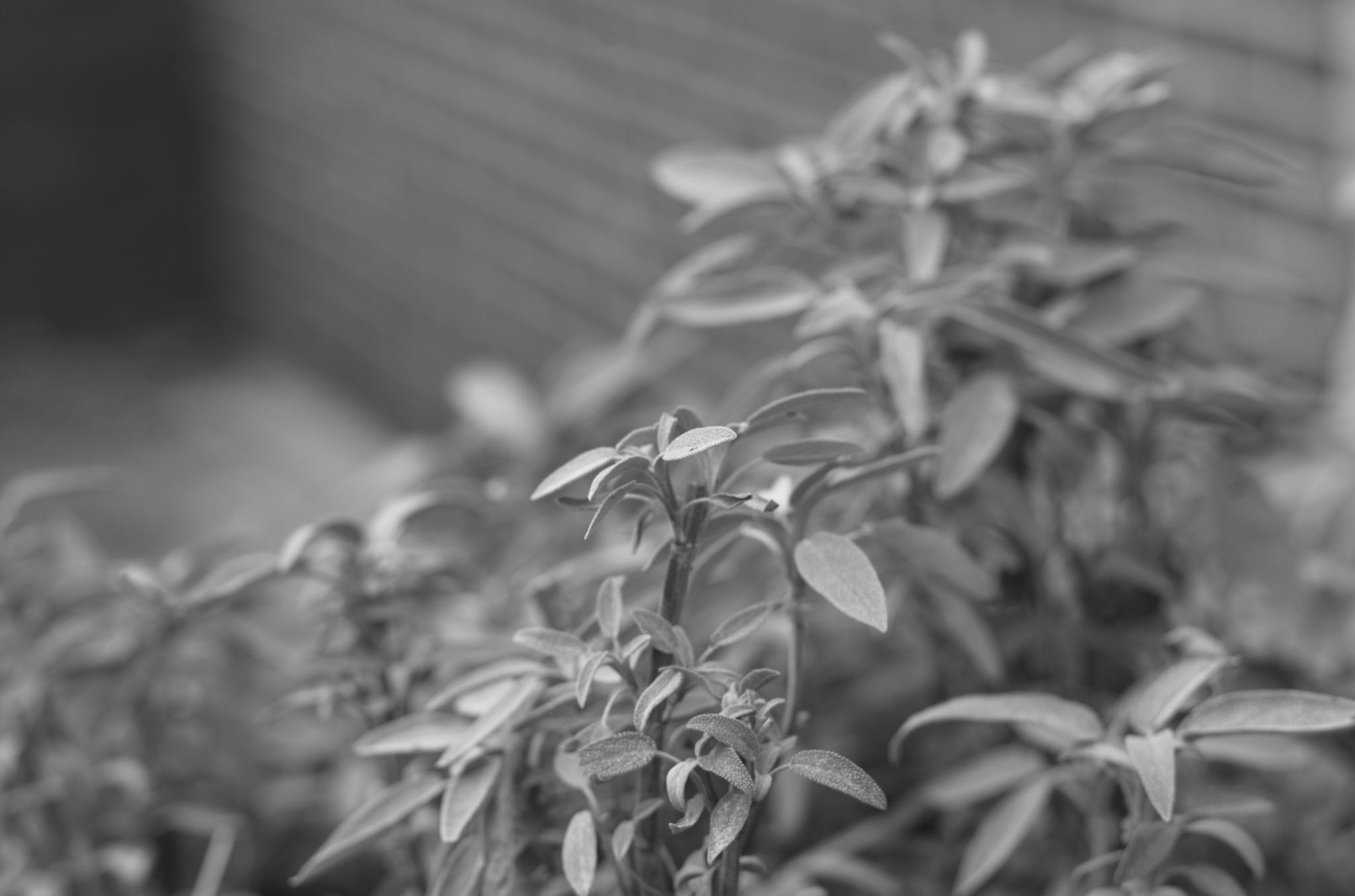 20211215 Gruen(t)raumHeimfeld 01