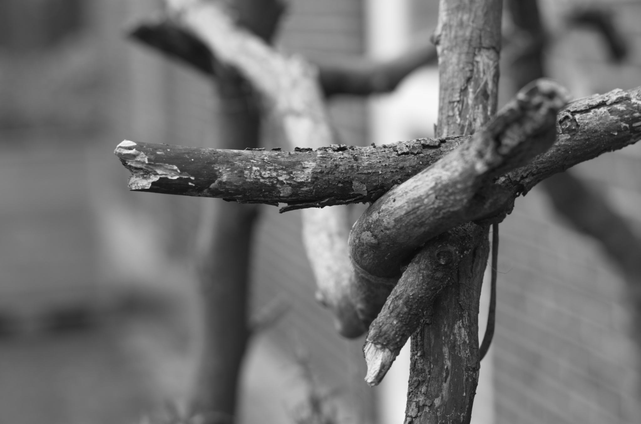 20211215 Gruen(t)raumHeimfeld 03