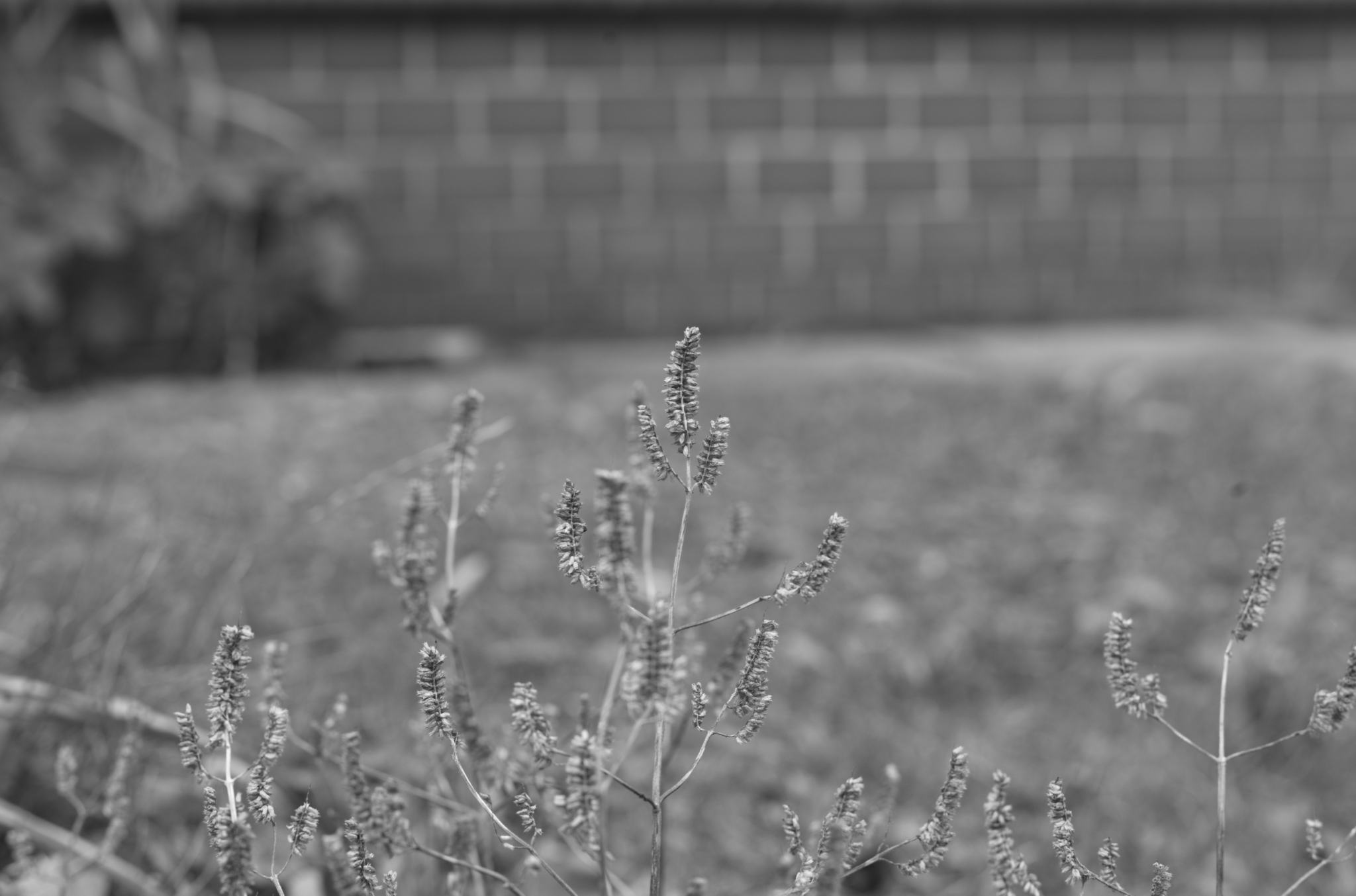 20211215 Gruen(t)raumHeimfeld 05