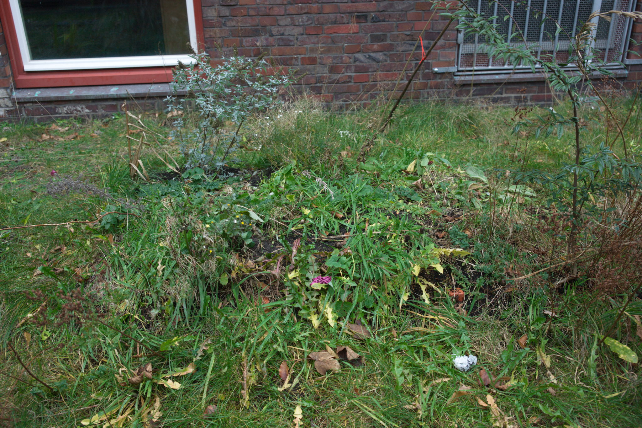 20211215 Gruen(t)raum Heimfeld 005