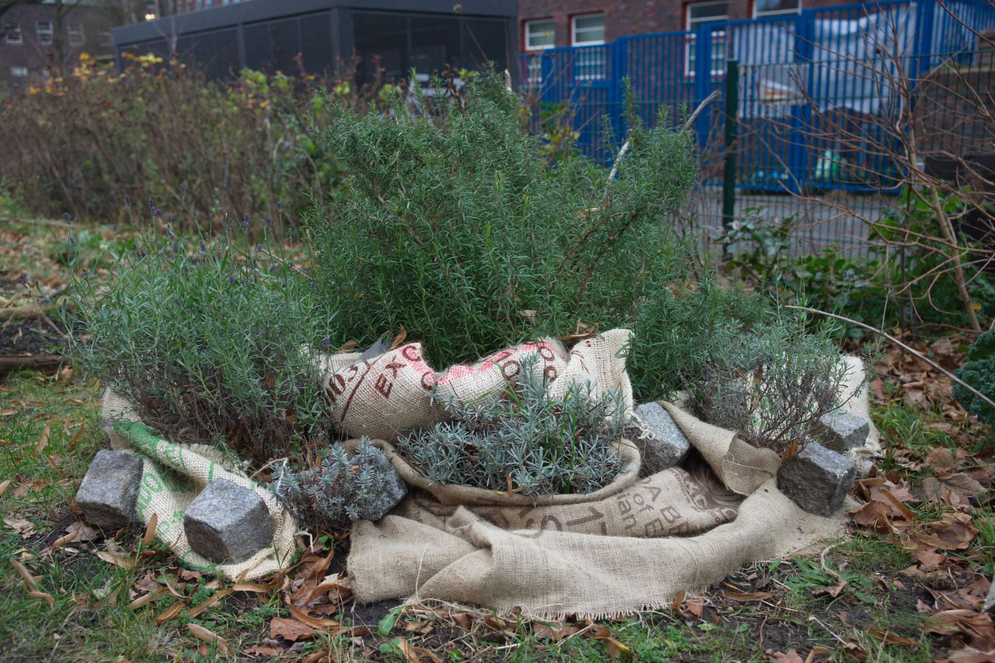 20211215 Gruen(t)raum Heimfeld 011