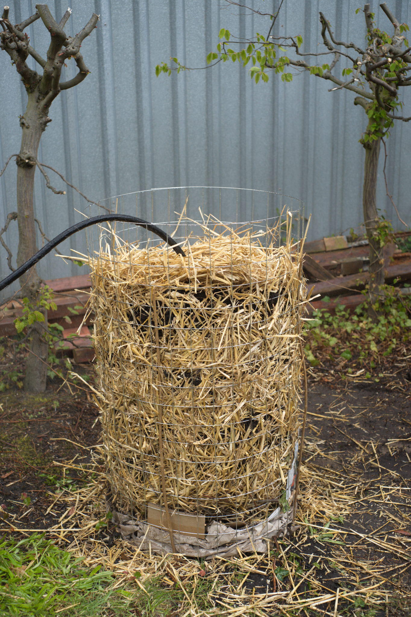 20210506 GruentraumHeimfeld 024