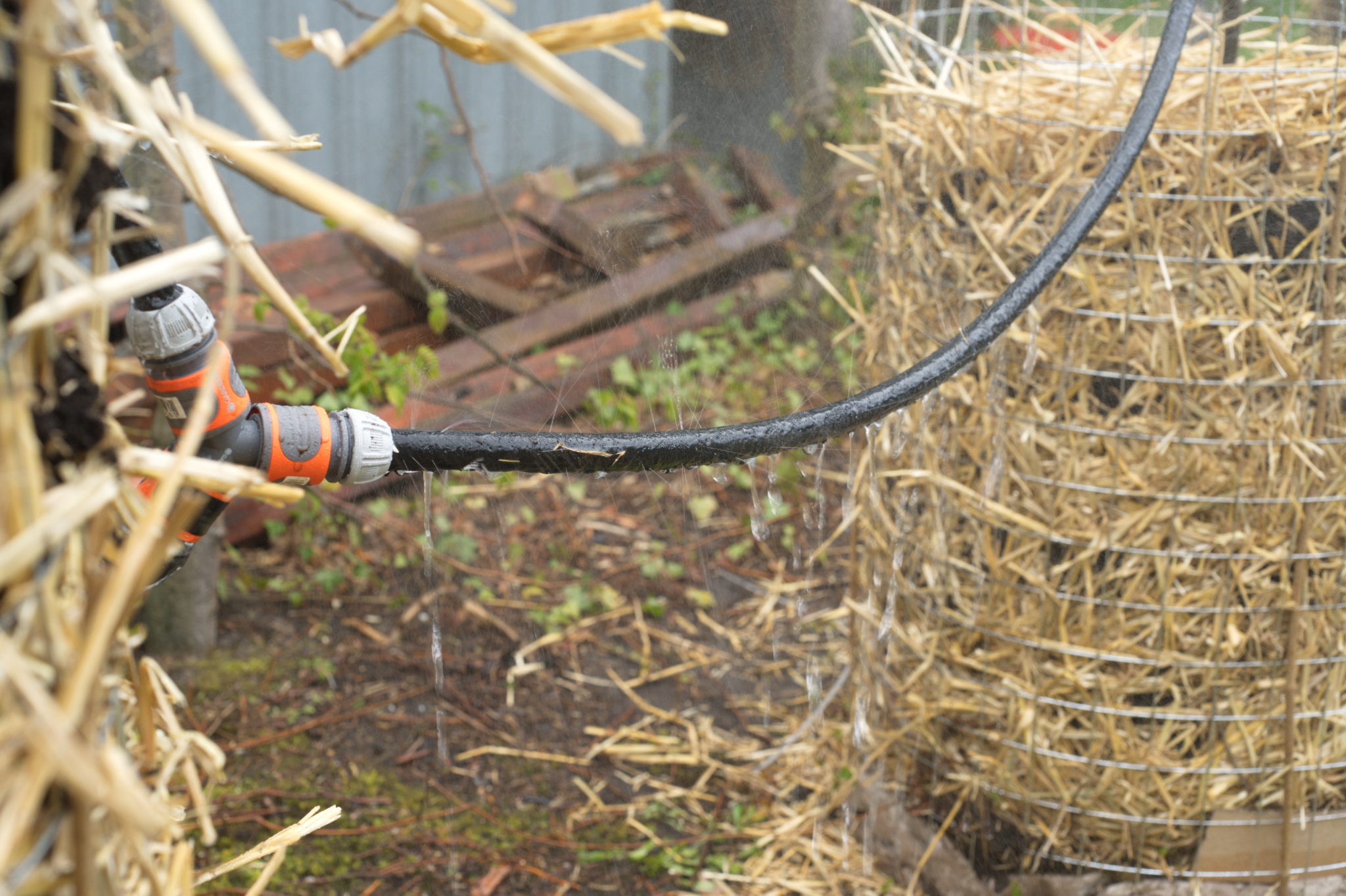 20210506 GruentraumHeimfeld 027