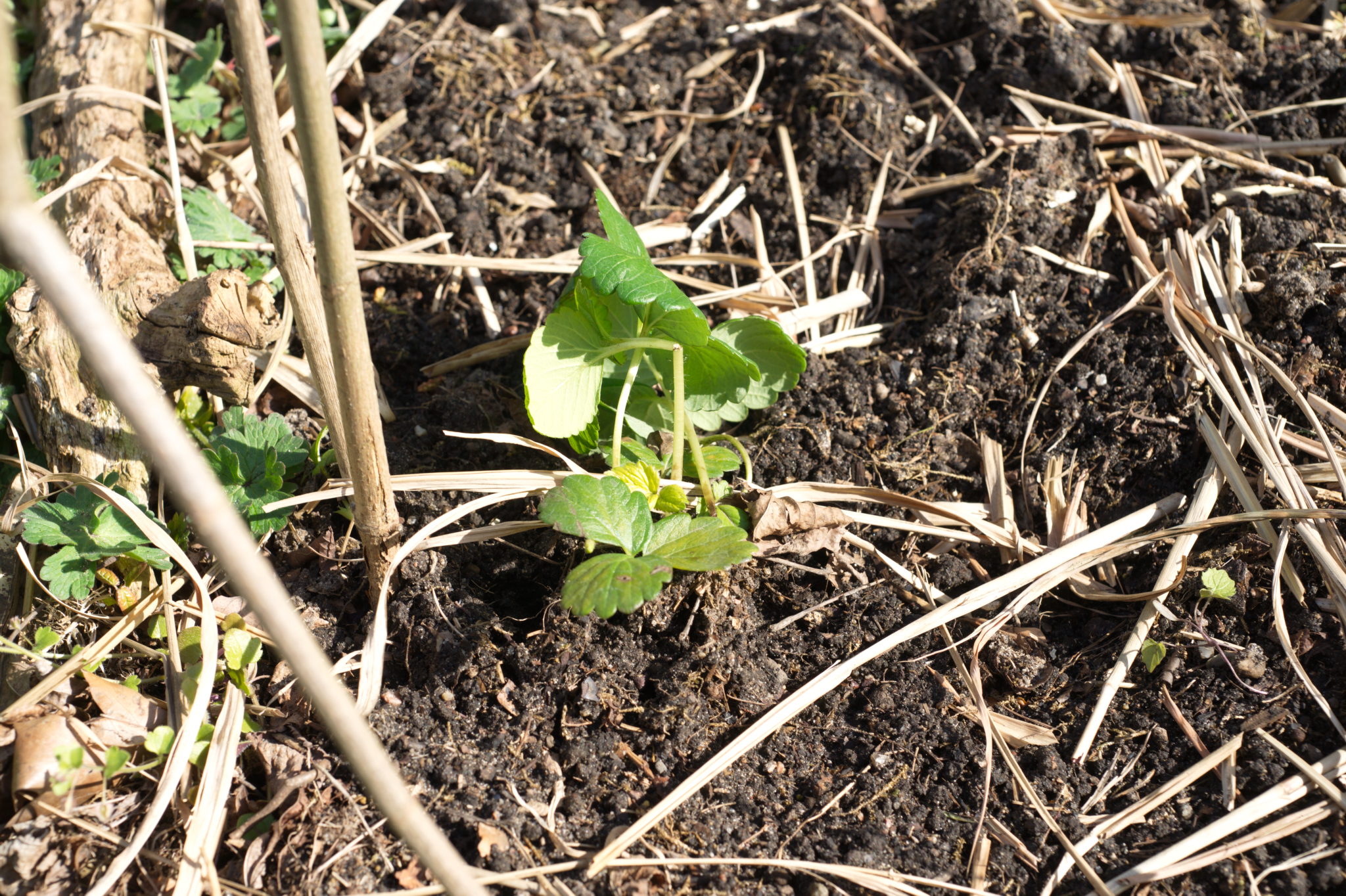 20210506 GruentraumHeimfeld 031