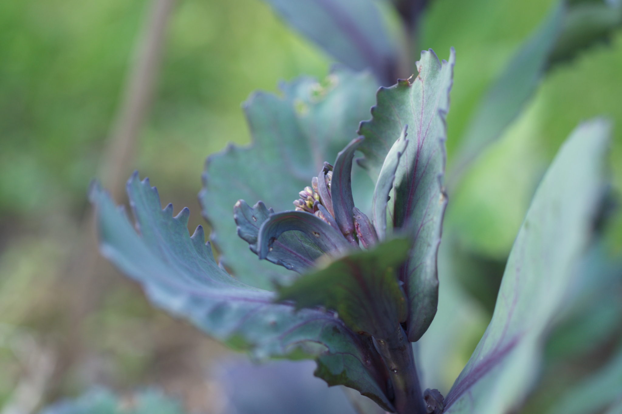 20210506 GruentraumHeimfeld 050