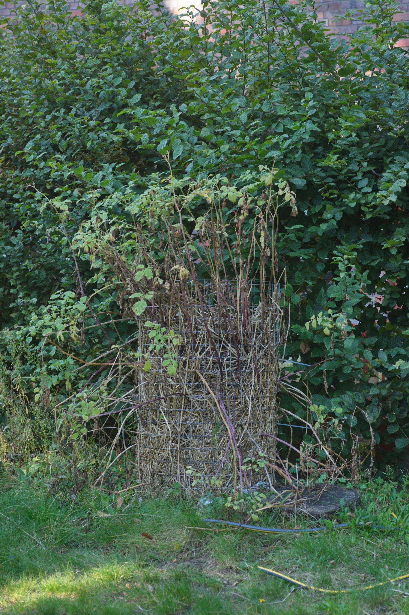 20219022 Gruen(t)raum Heimfeld 9524