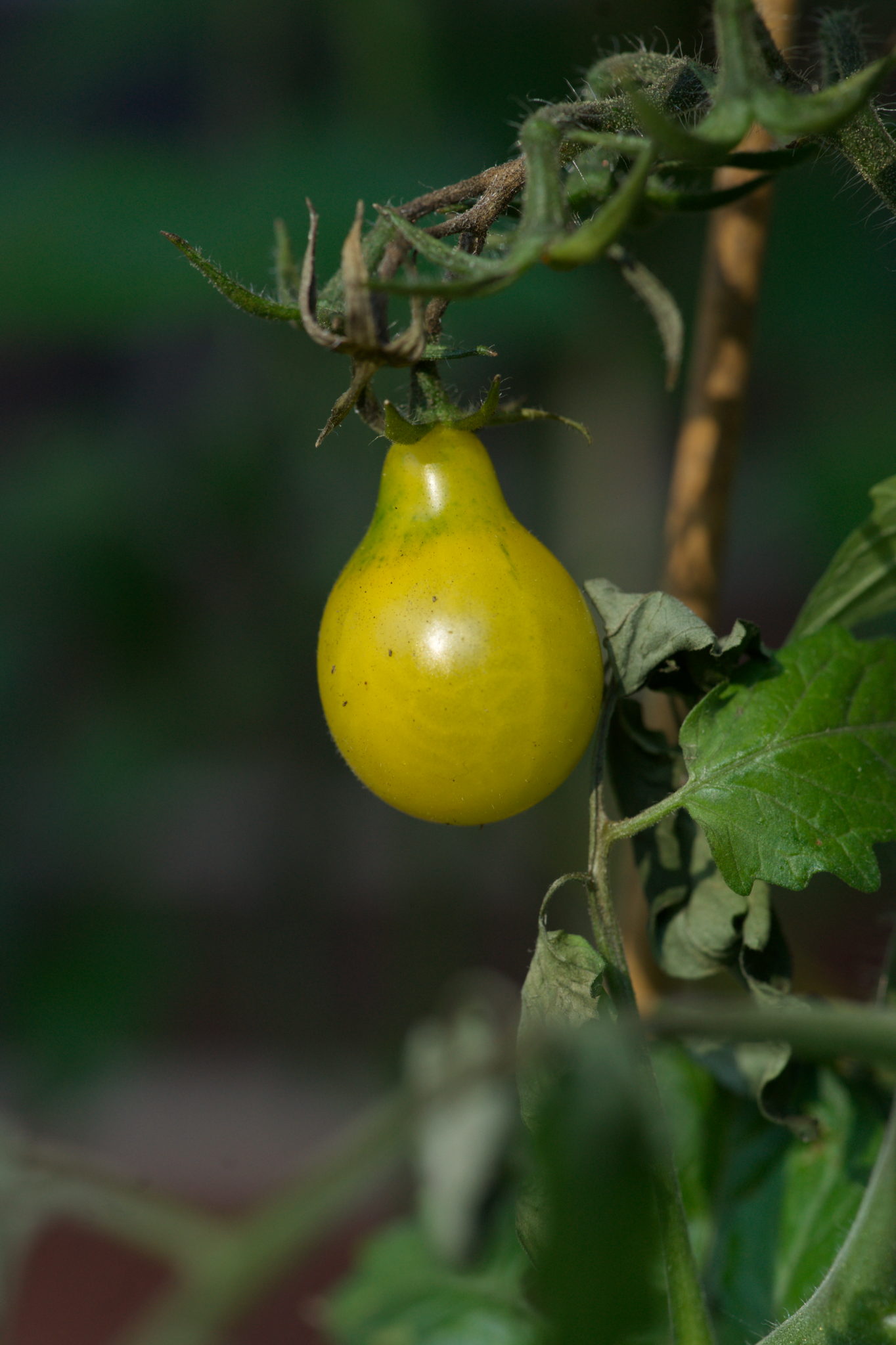 20219022 Gruen(t)raum Heimfeld 9527